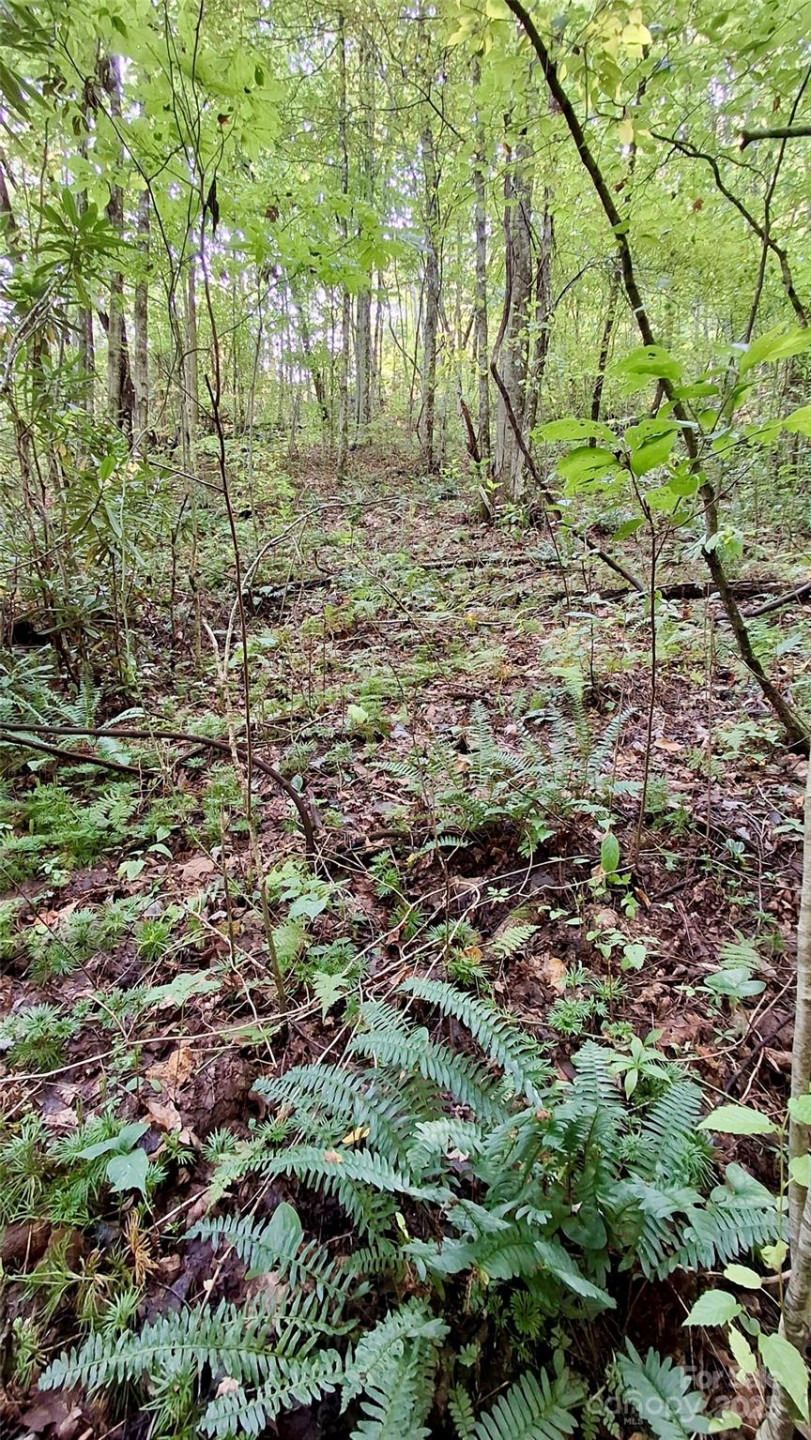 0 Cross Creek Circle - Photo 3