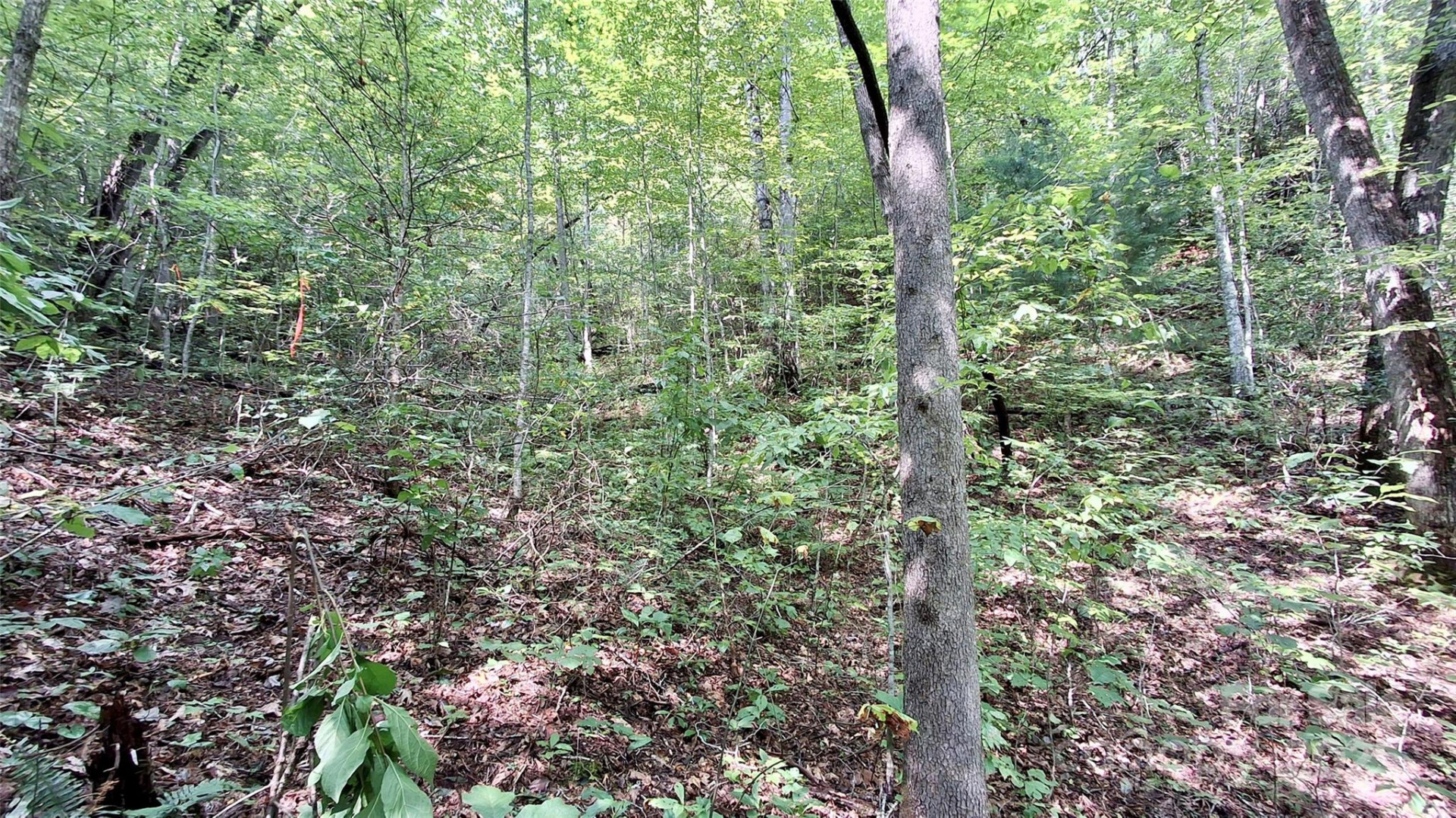 0 Cross Creek Circle - Photo 21