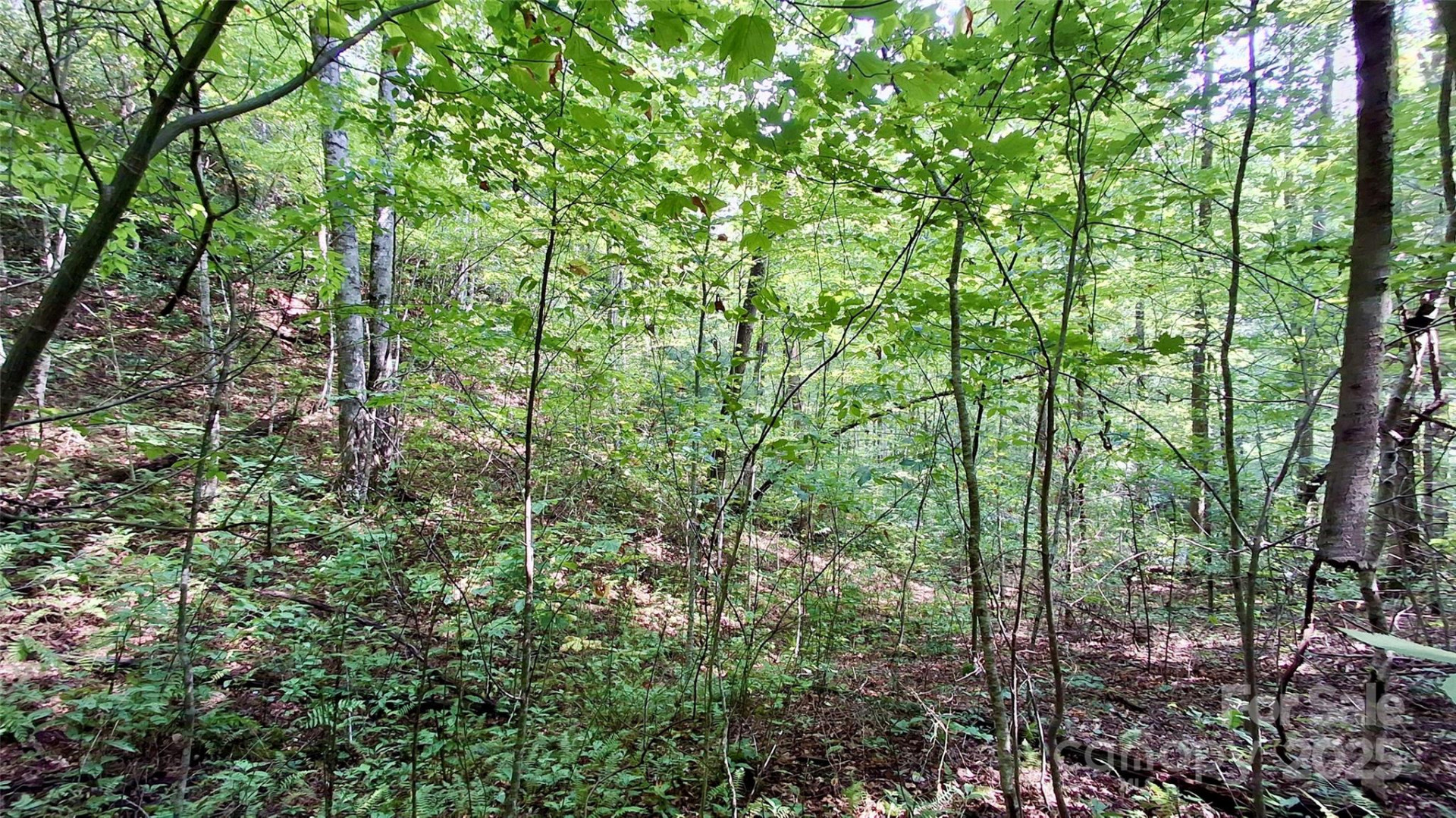 0 Cross Creek Circle - Photo 22