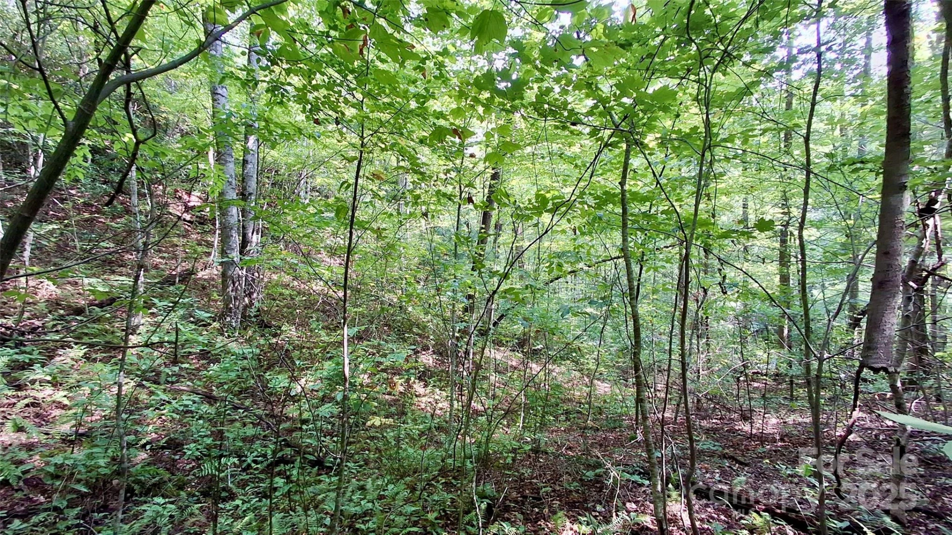 0 Cross Creek Circle - Photo 22