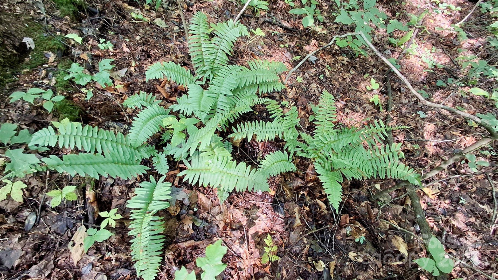 0 Cross Creek Circle - Photo 23