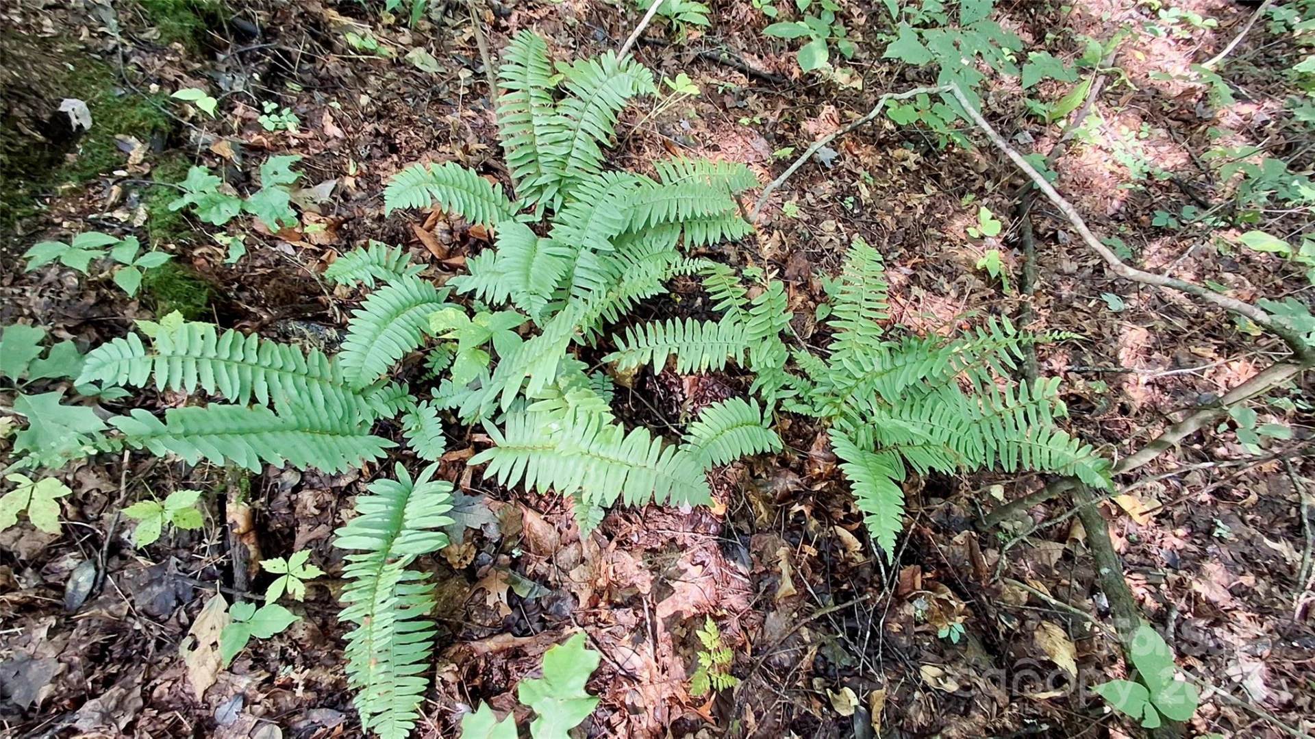 0 Cross Creek Circle - Photo 23