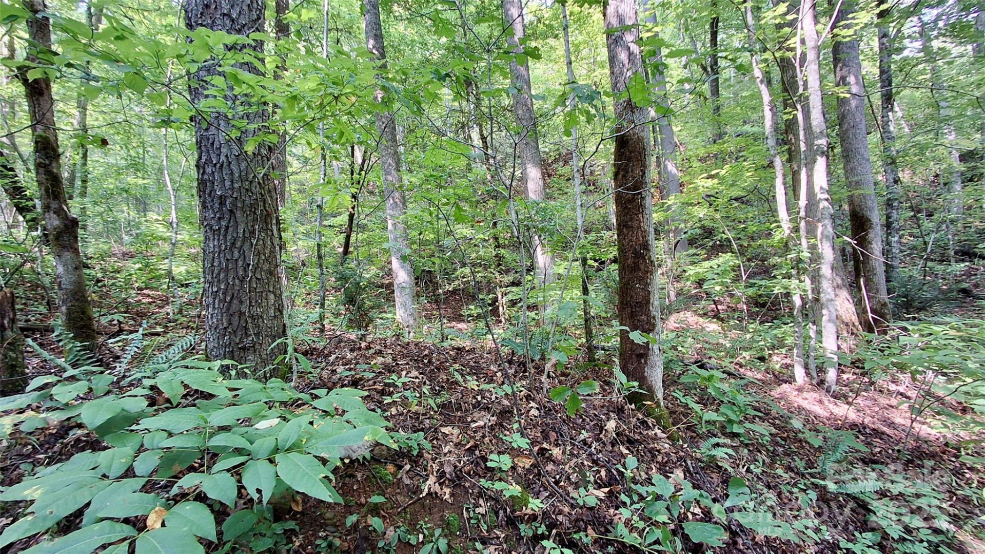 0 Cross Creek Circle - Photo 25