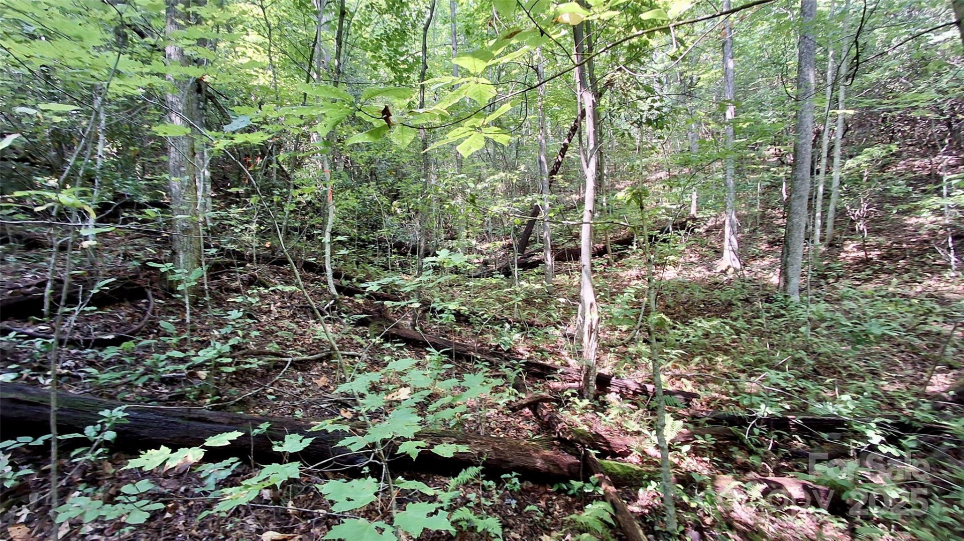 0 Cross Creek Circle - Photo 26