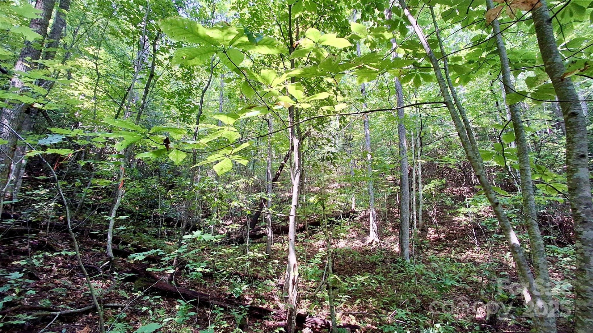 0 Cross Creek Circle - Photo 27