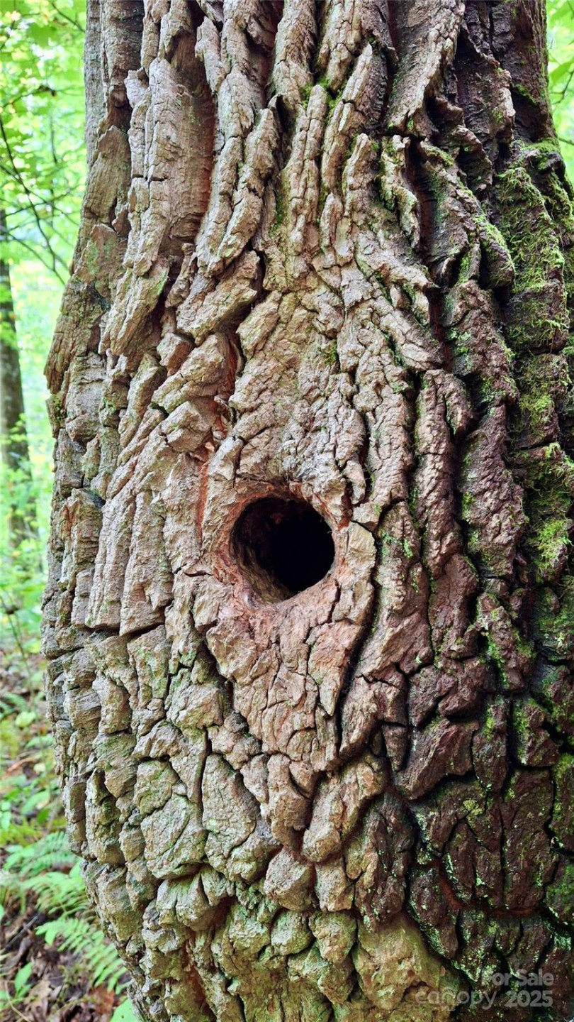 0 Cross Creek Circle - Photo 28