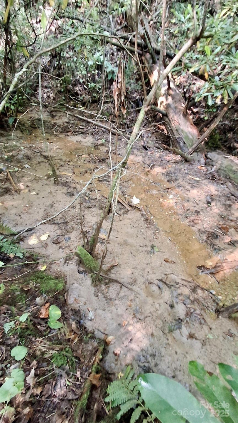 0 Cross Creek Circle - Photo 4