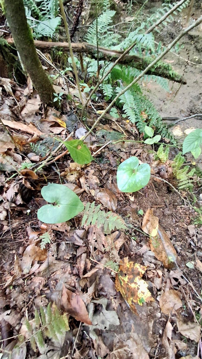 0 Cross Creek Circle - Photo 5