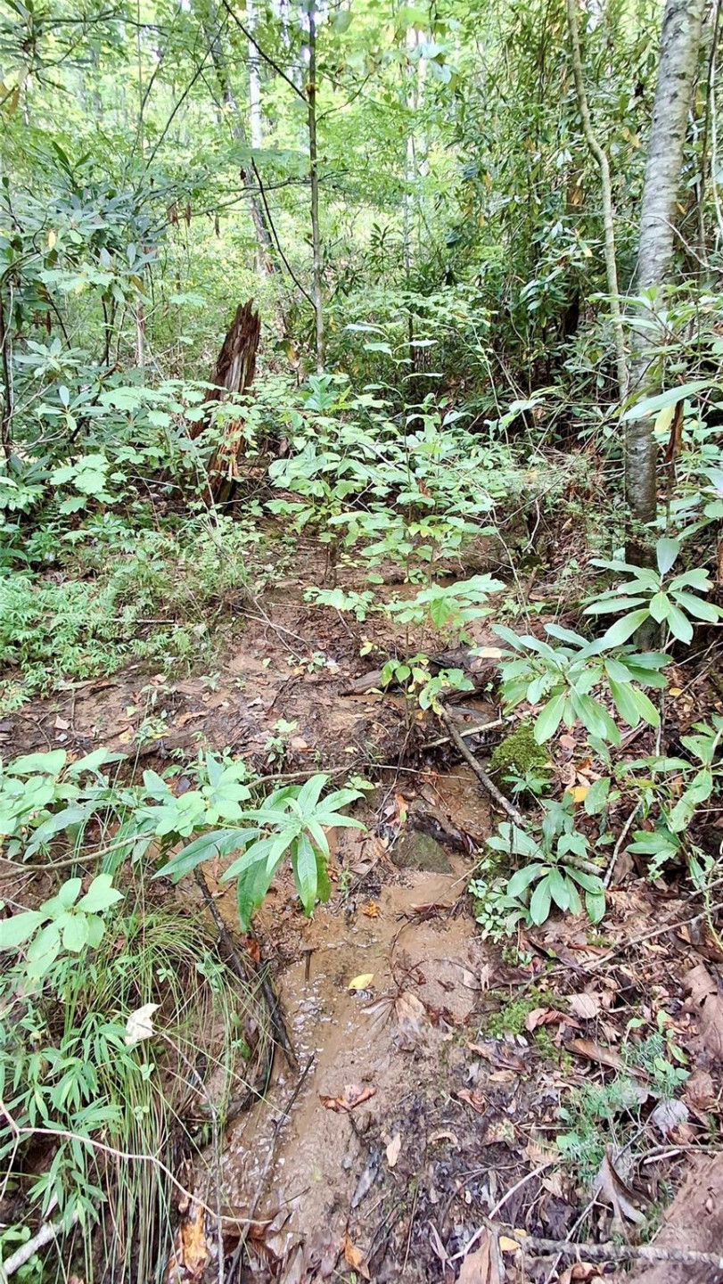 0 Cross Creek Circle - Photo 6