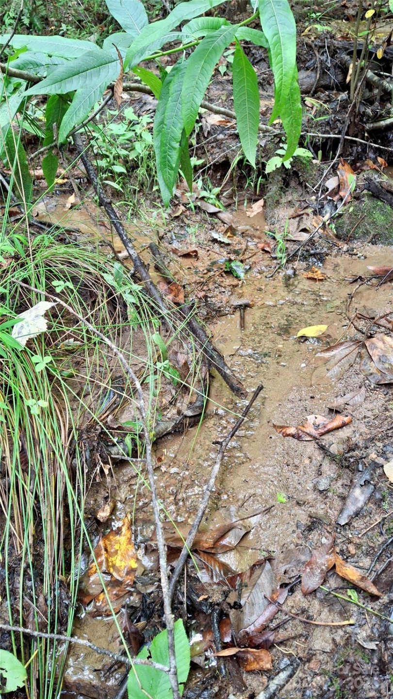 0 Cross Creek Circle - Photo 7