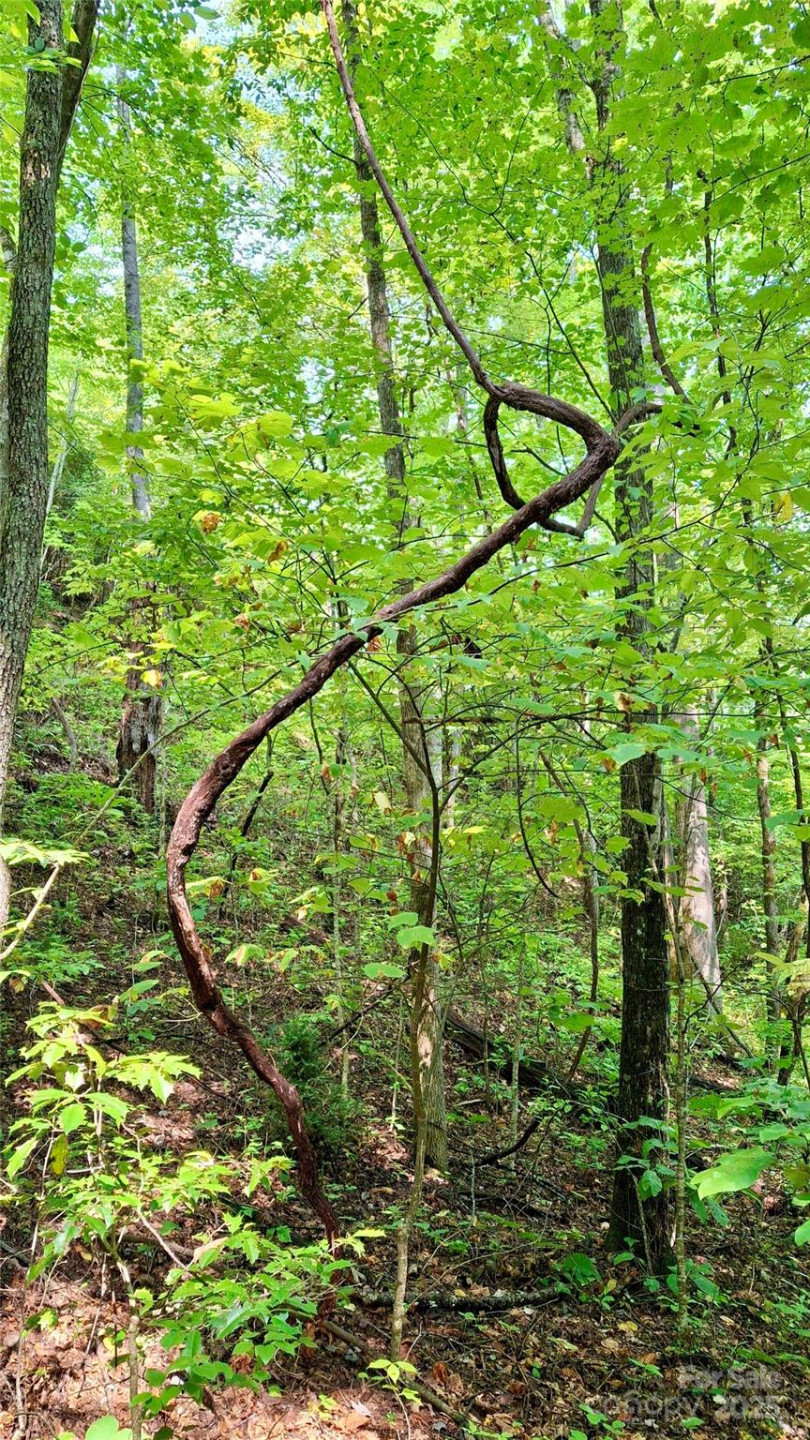 0 Cross Creek Circle - Photo 8