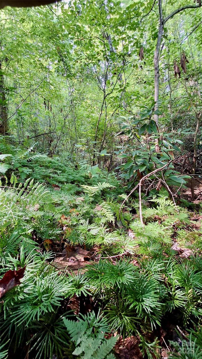 0 Cross Creek Circle - Photo 9