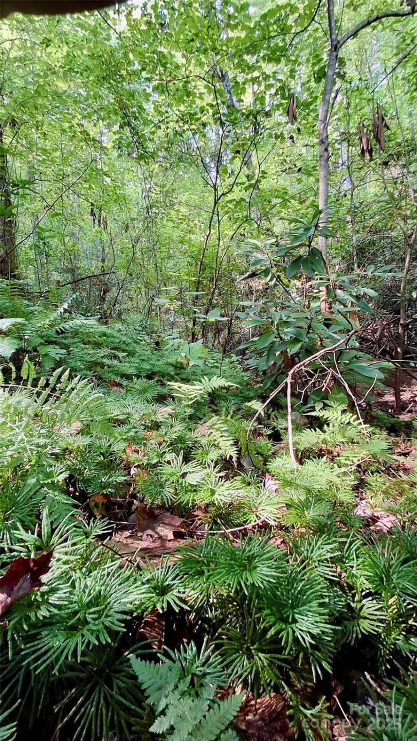 0 Cross Creek Circle - Photo 9