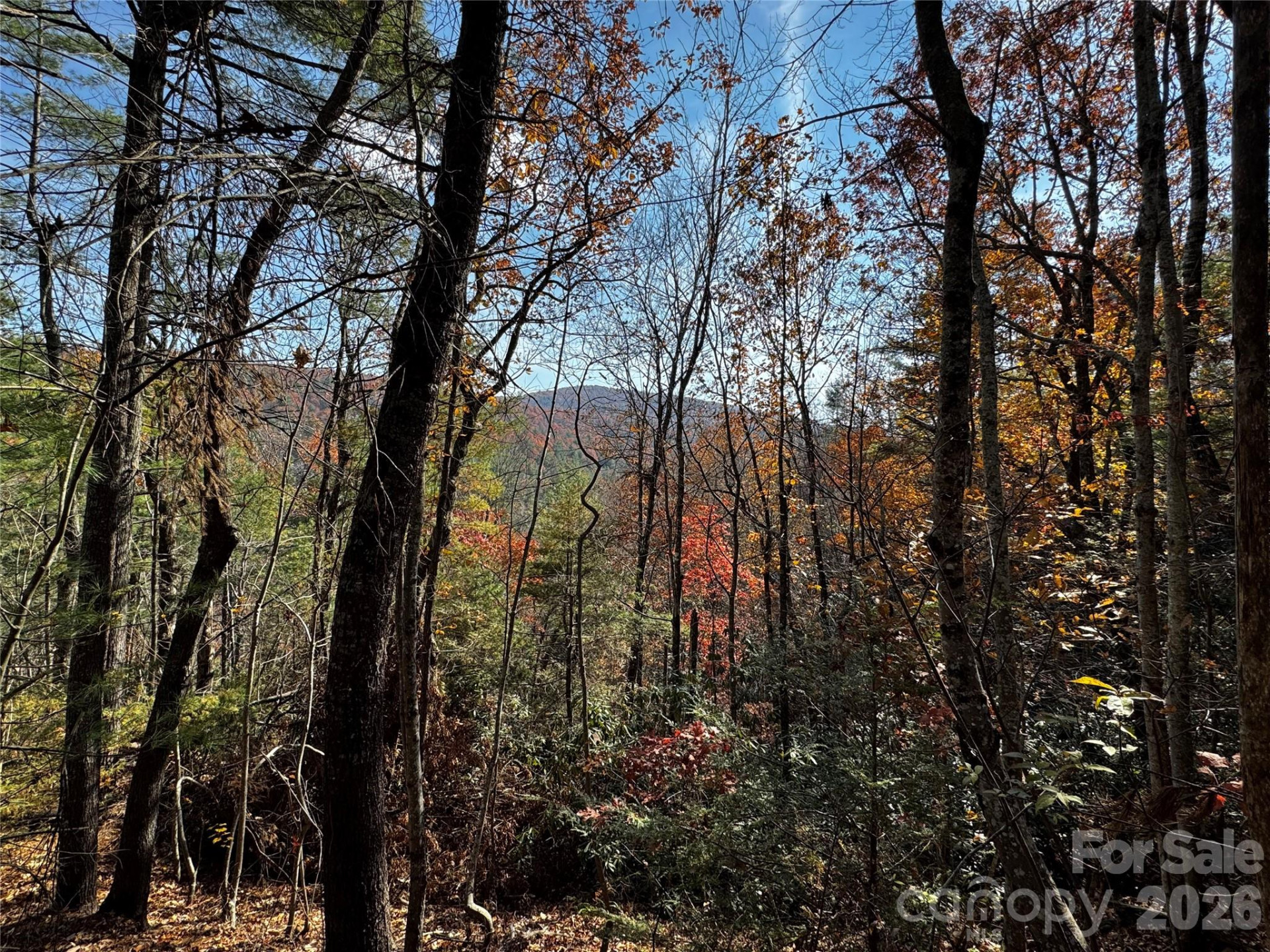 270 Jarvis Drive - Photo 2