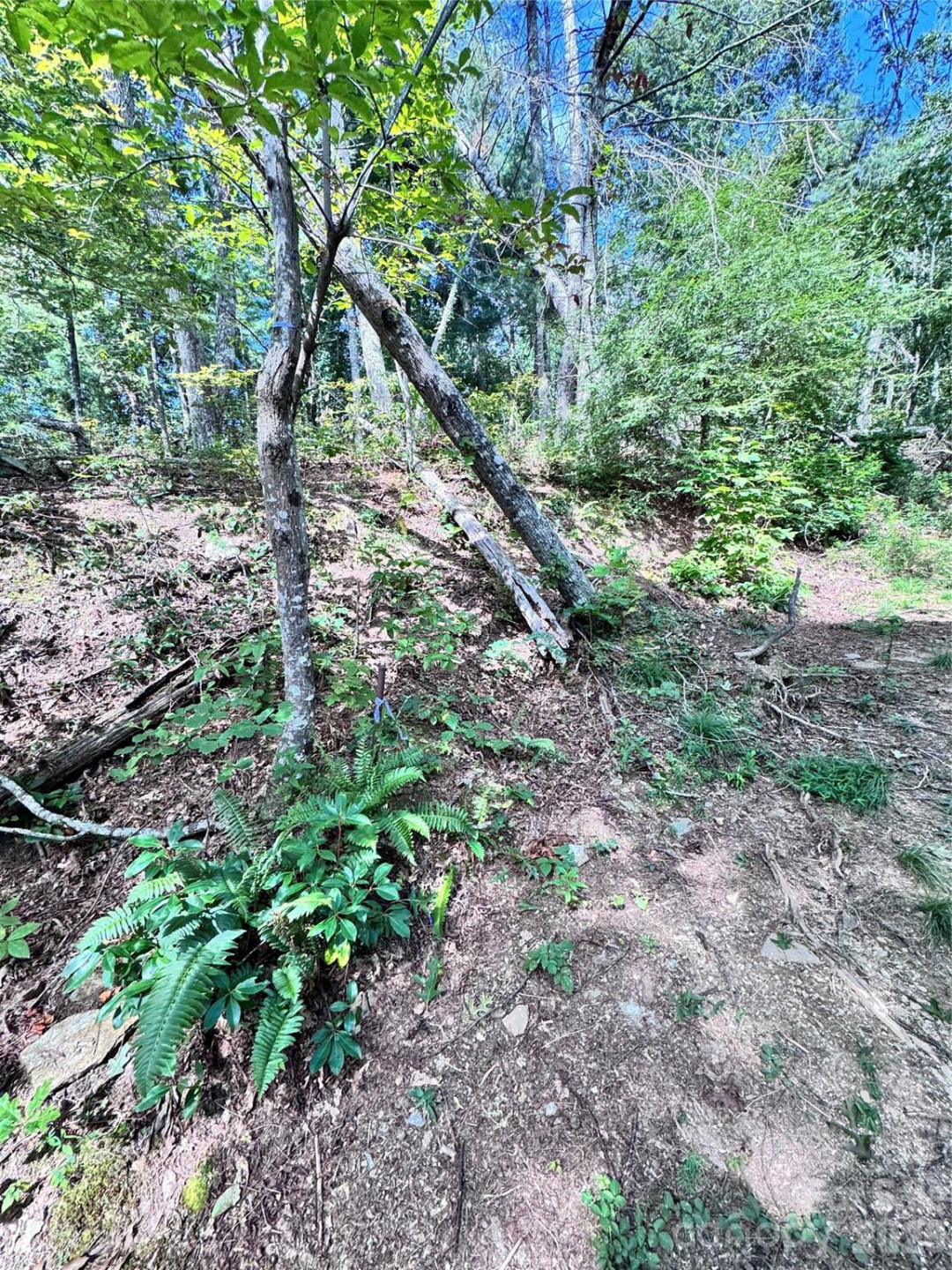 270 Jarvis Drive - Photo 12