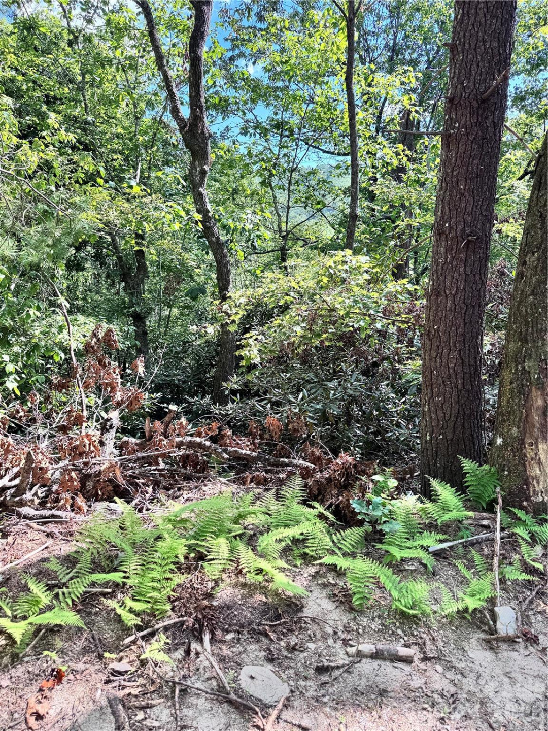 270 Jarvis Drive - Photo 13