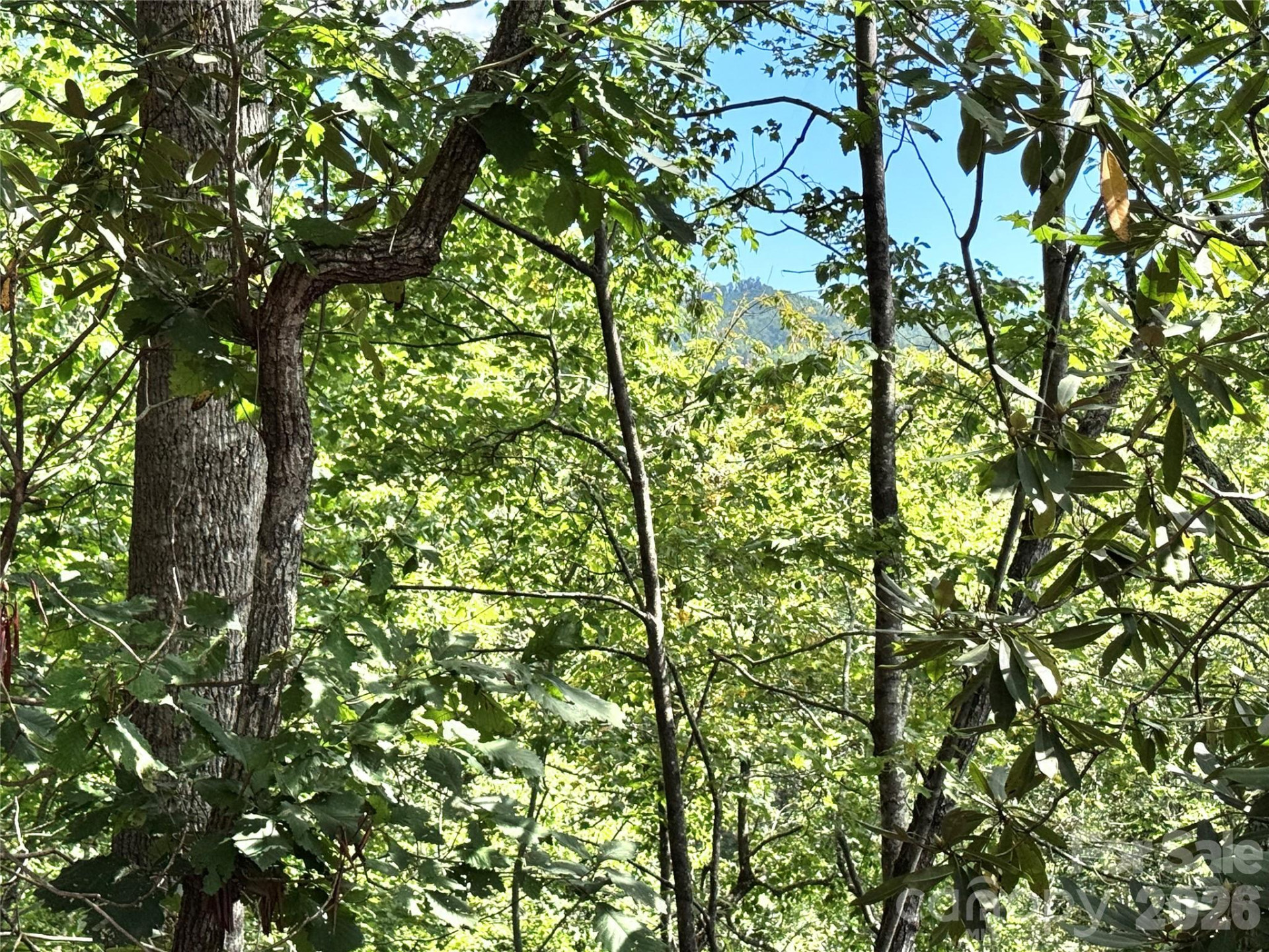 270 Jarvis Drive - Photo 15