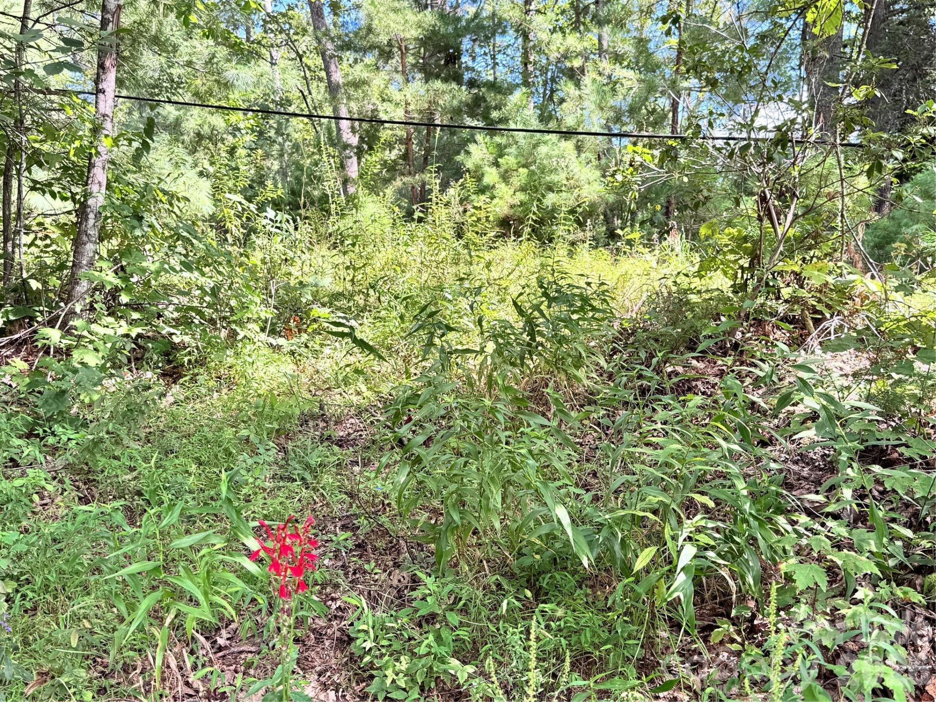 270 Jarvis Drive - Photo 16