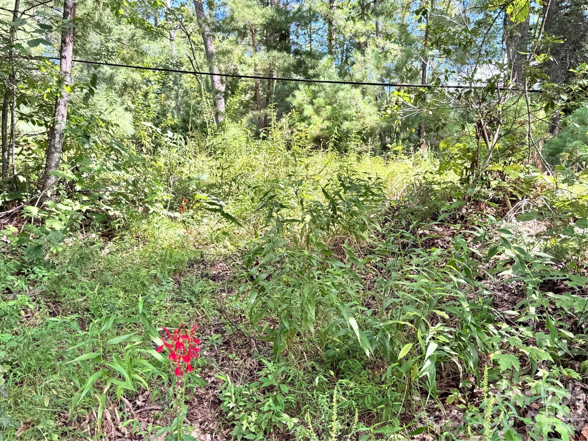 270 Jarvis Drive - Photo 16