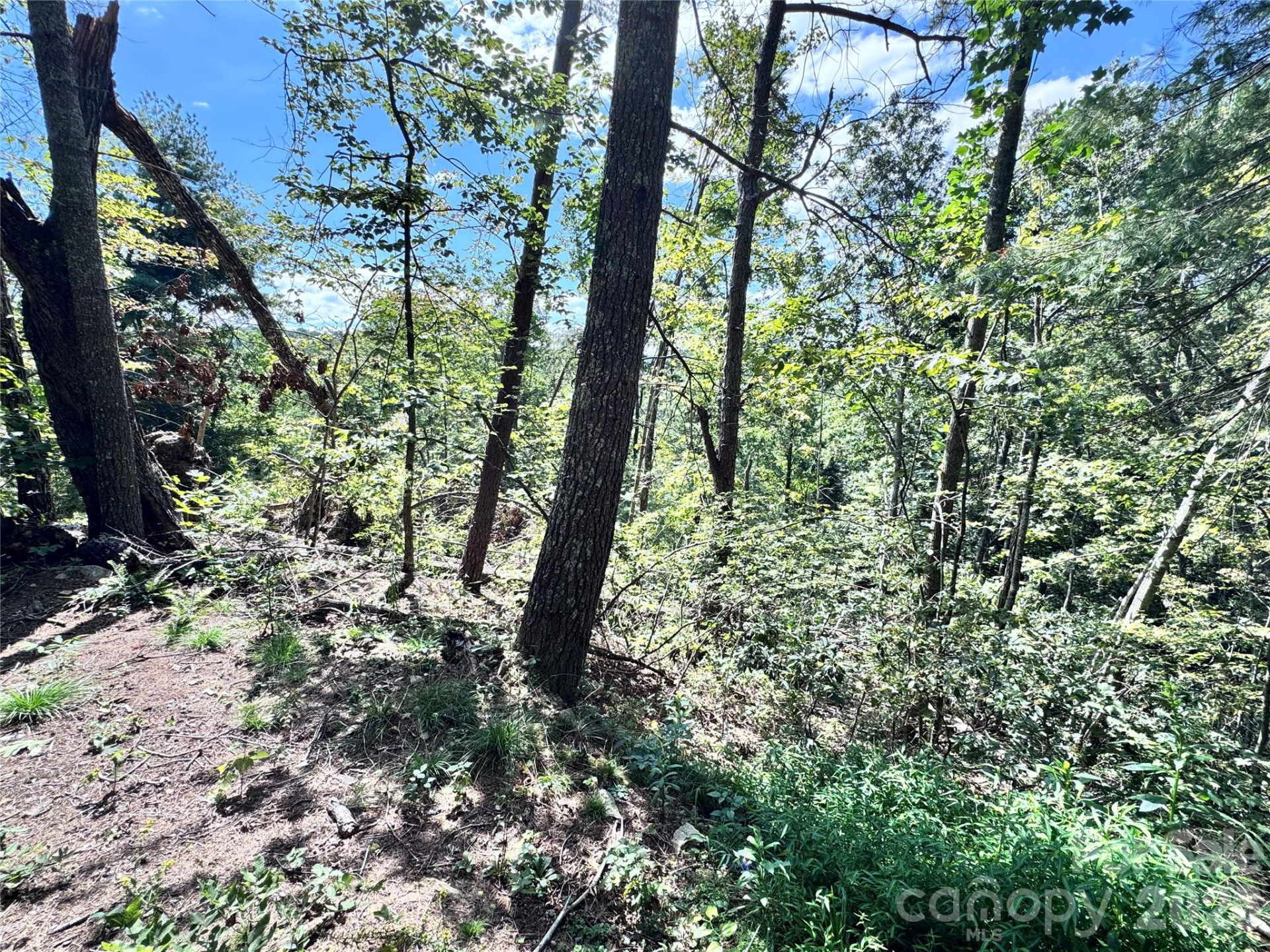 270 Jarvis Drive - Photo 17