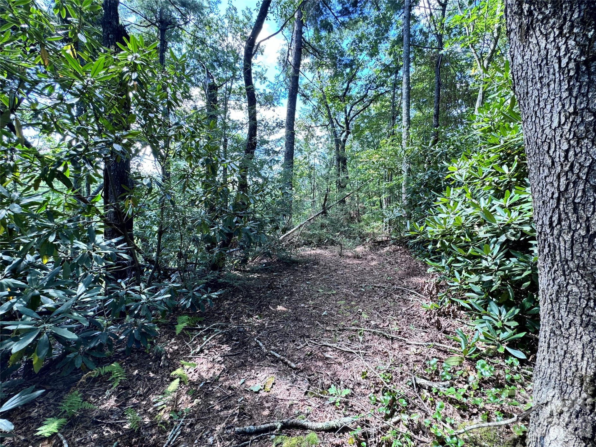 270 Jarvis Drive - Photo 18