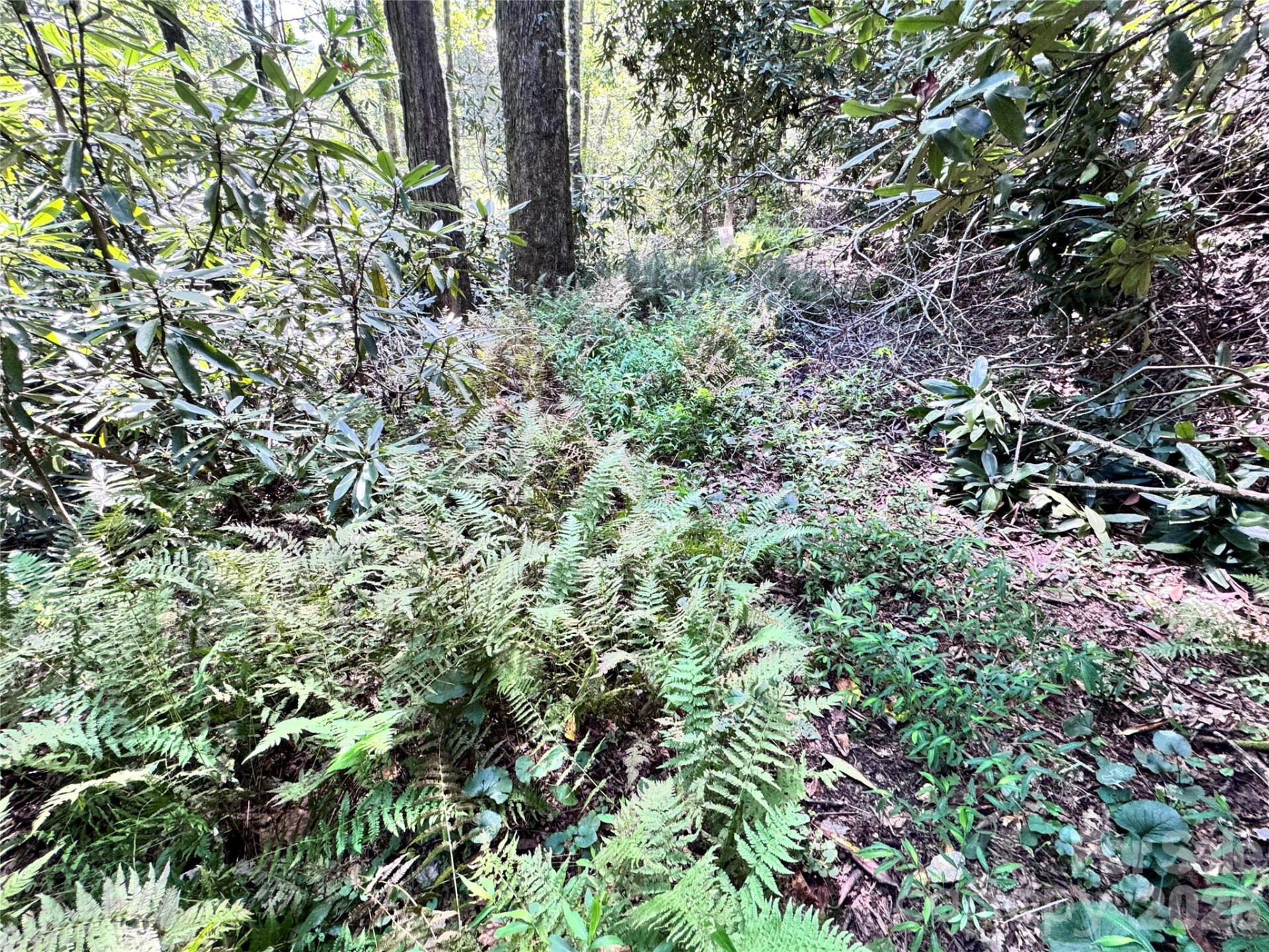 270 Jarvis Drive - Photo 19