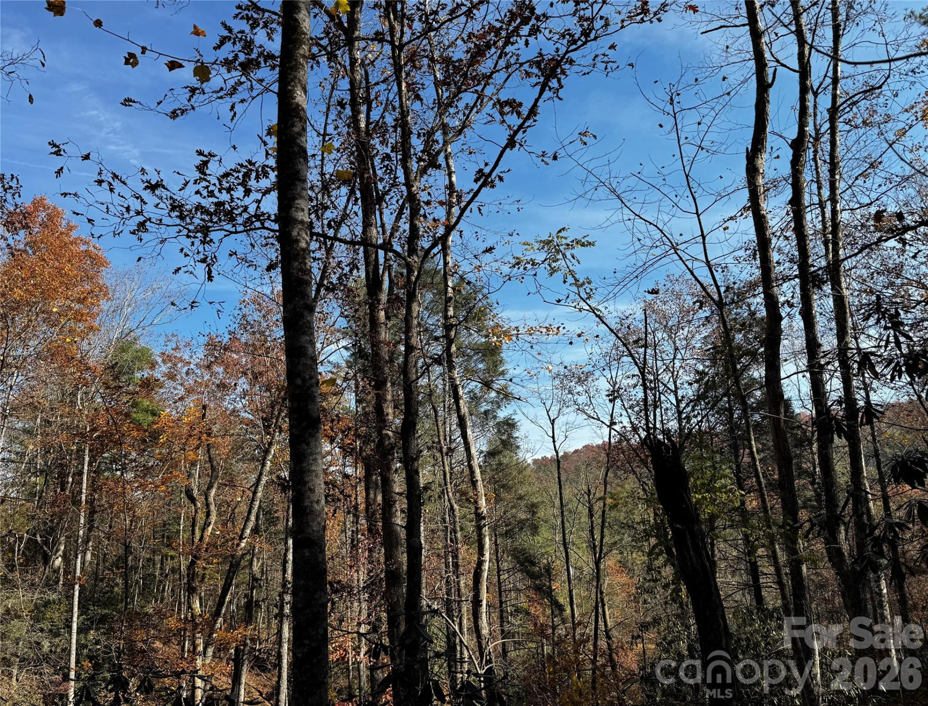 270 Jarvis Drive - Photo 3