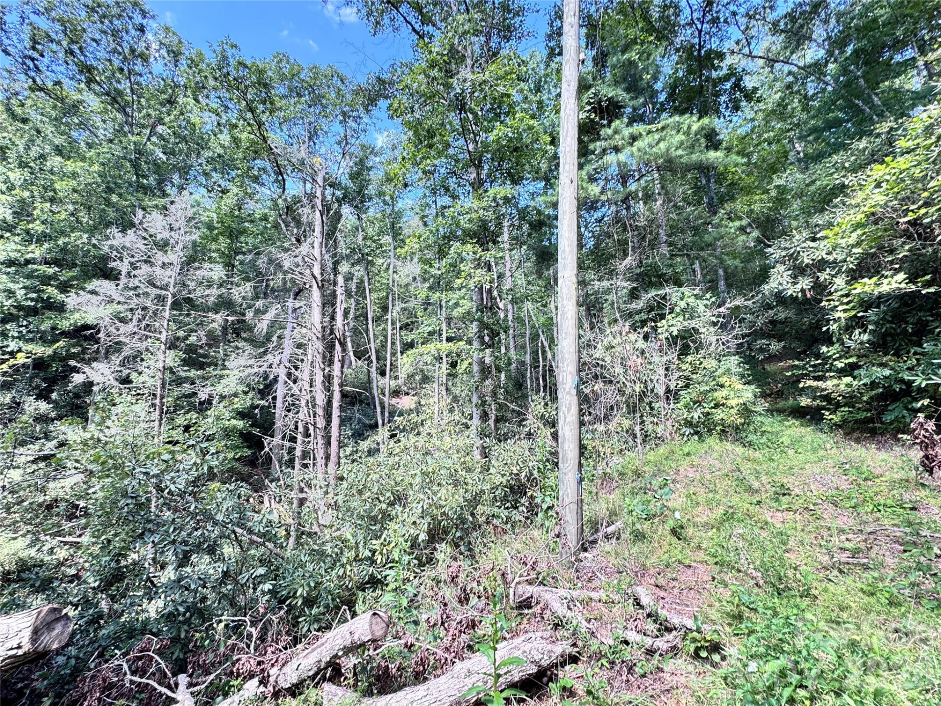 270 Jarvis Drive - Photo 21