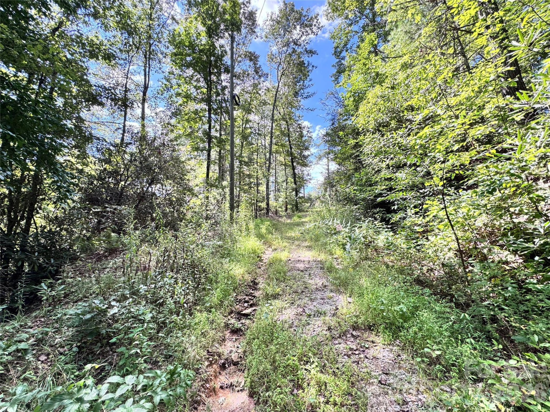 270 Jarvis Drive - Photo 22