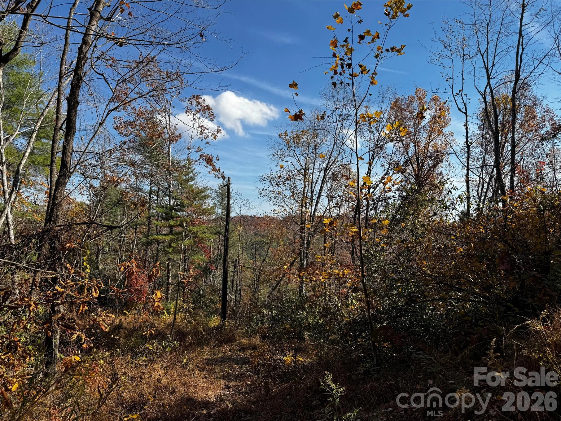270 Jarvis Drive - Photo 25