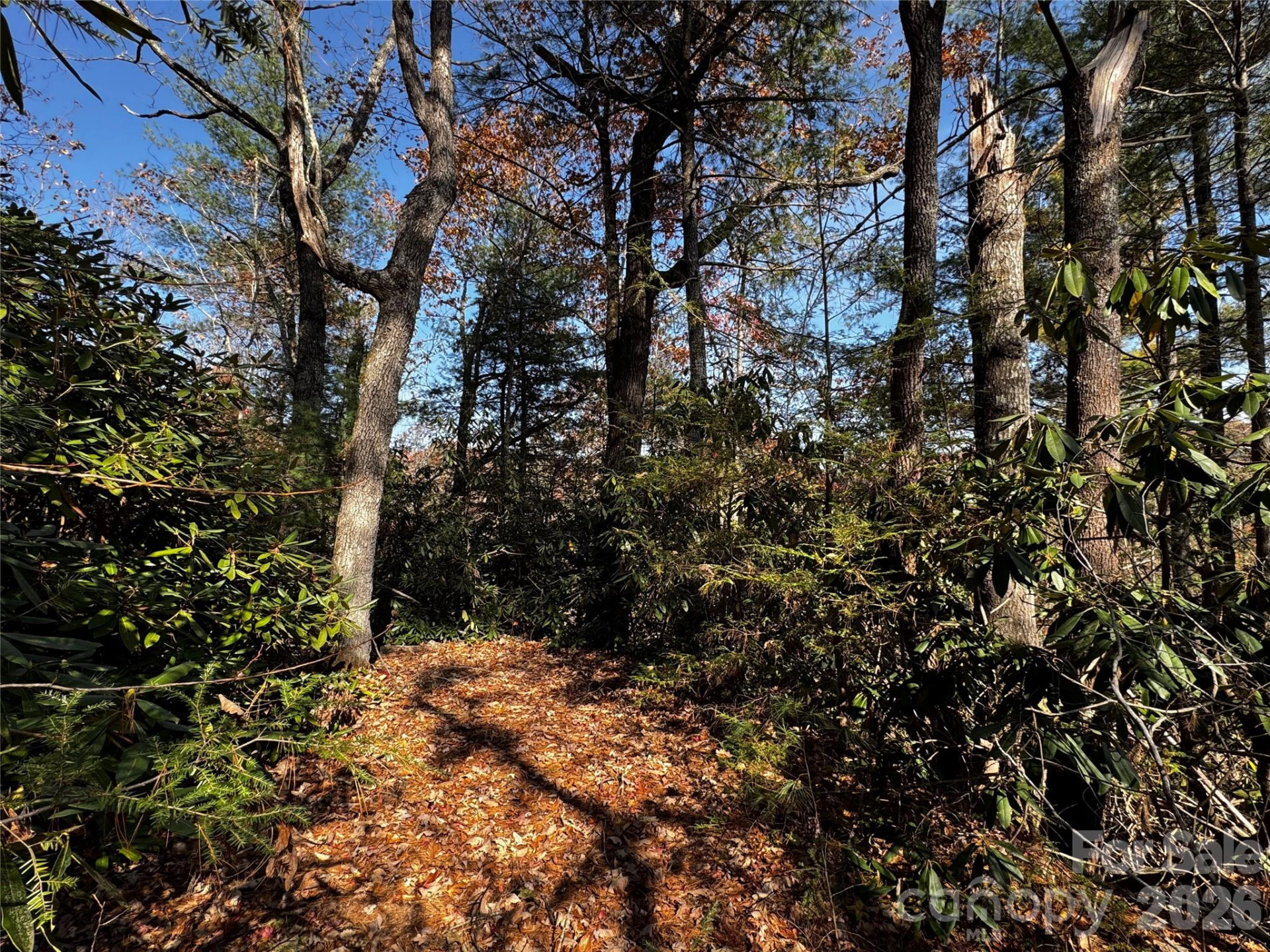 270 Jarvis Drive - Photo 27