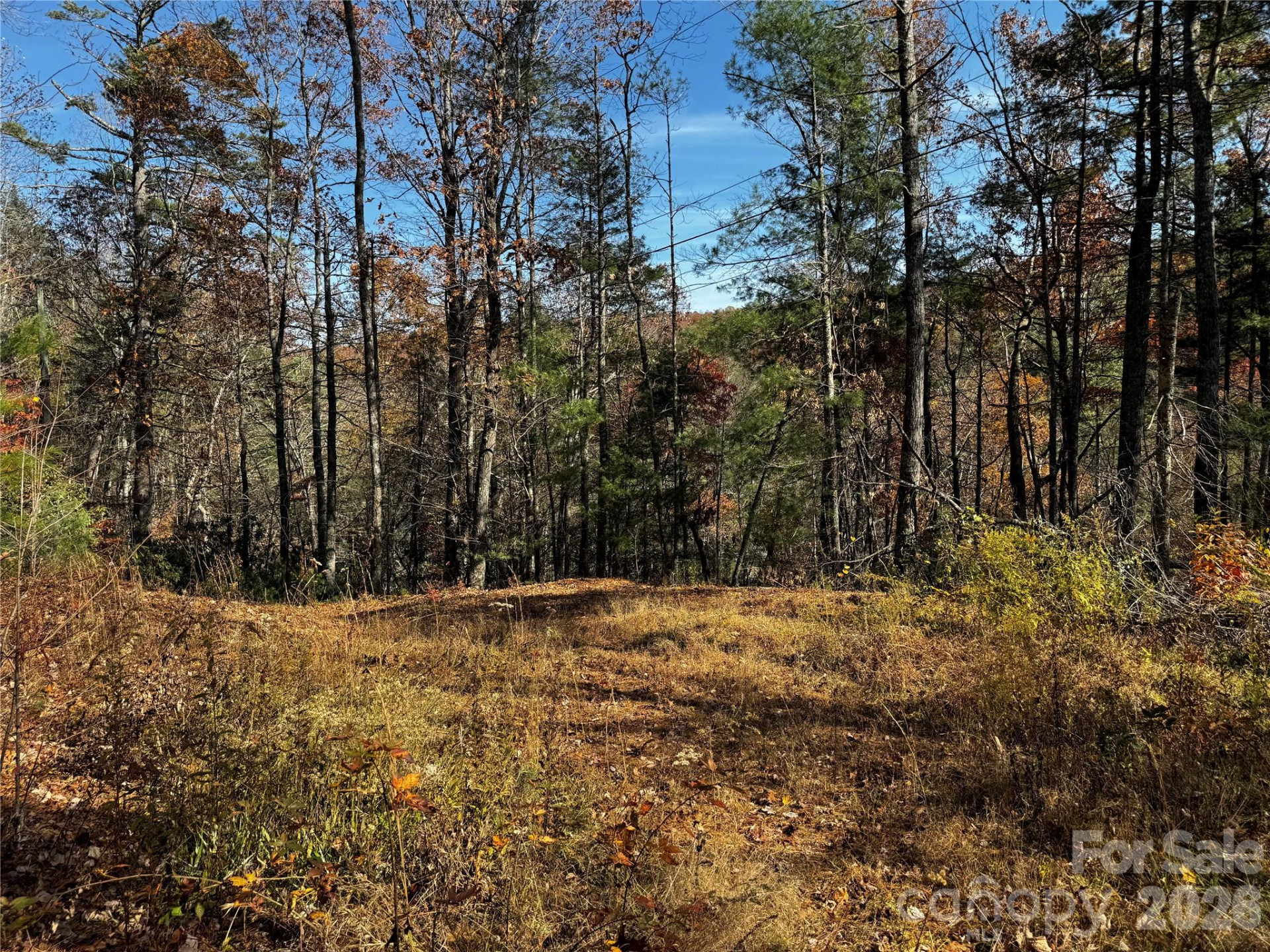 270 Jarvis Drive - Photo 28