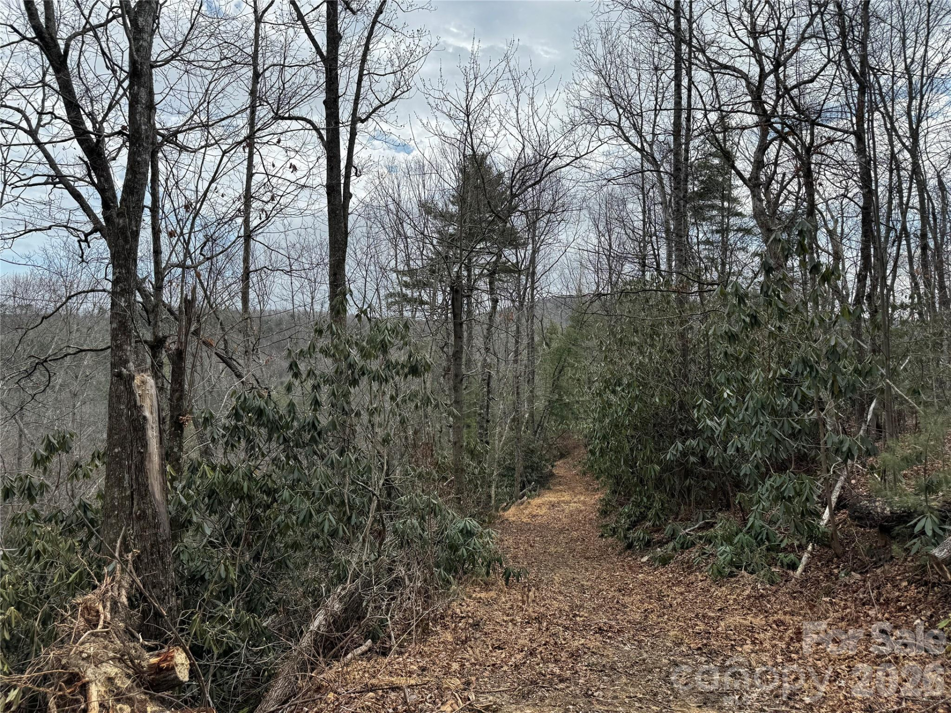 270 Jarvis Drive - Photo 31