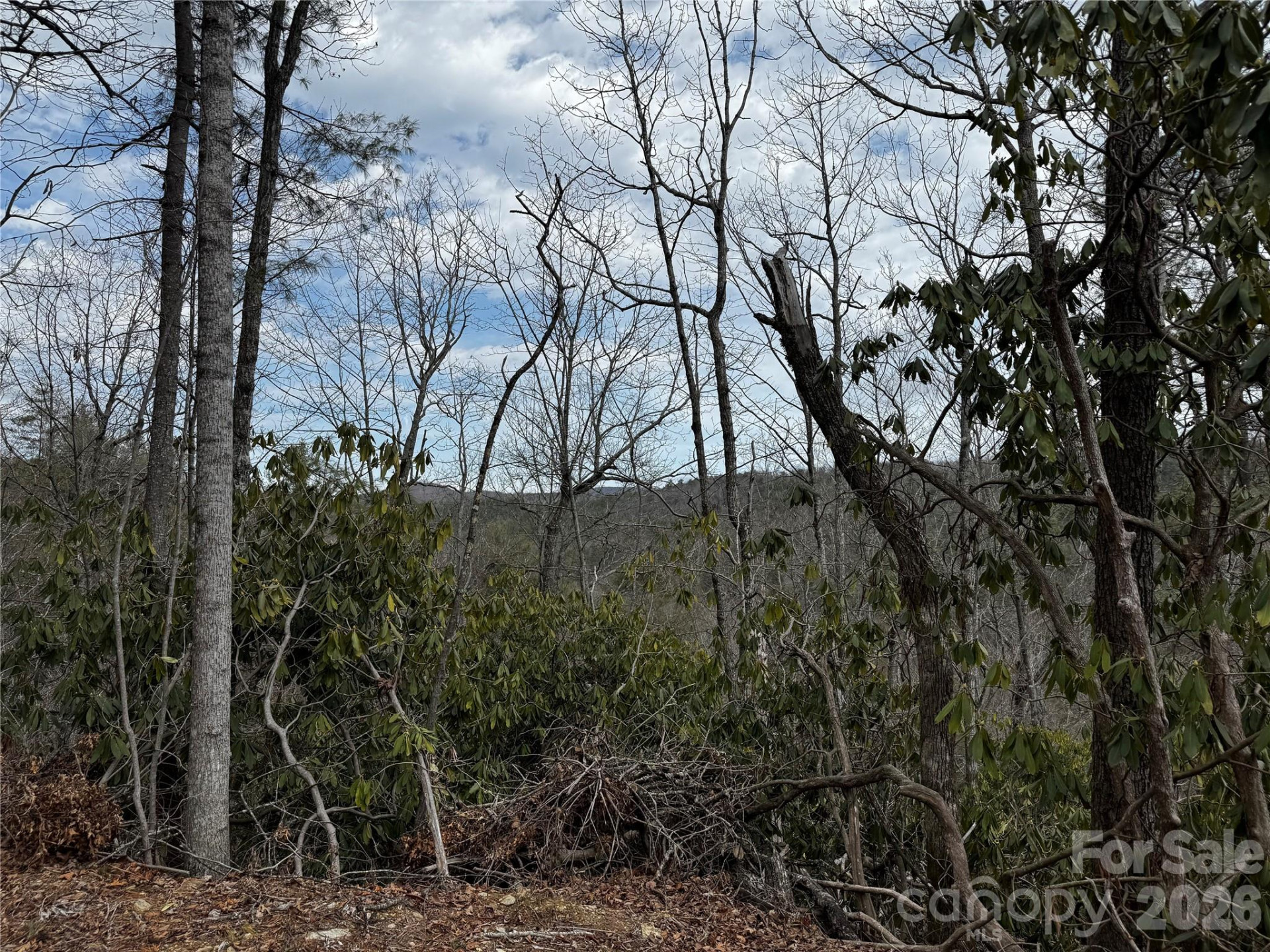 270 Jarvis Drive - Photo 33