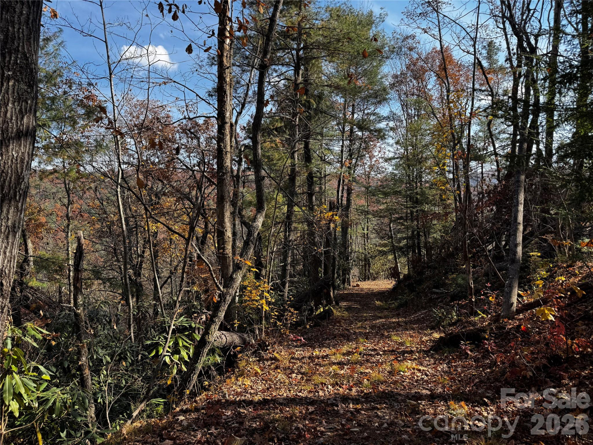 270 Jarvis Drive - Photo 5