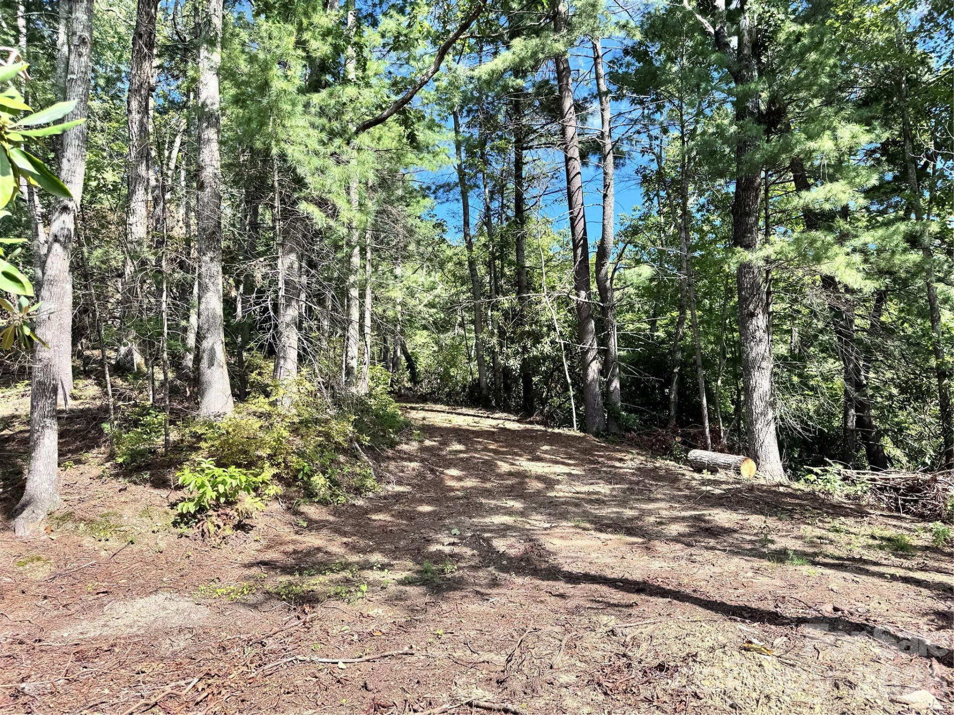 270 Jarvis Drive - Photo 6