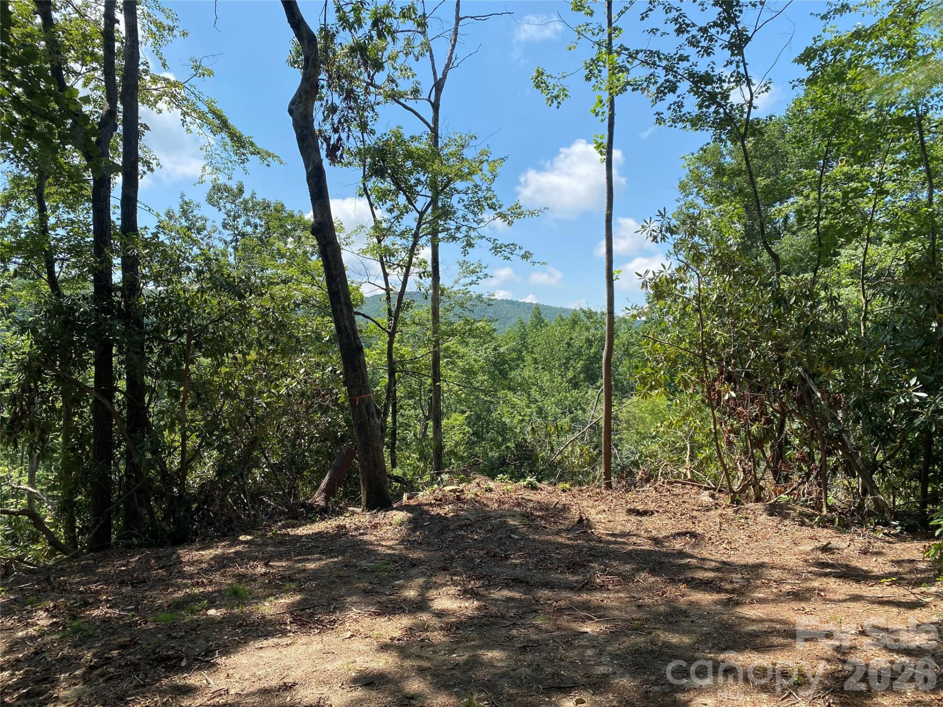 270 Jarvis Drive - Photo 9