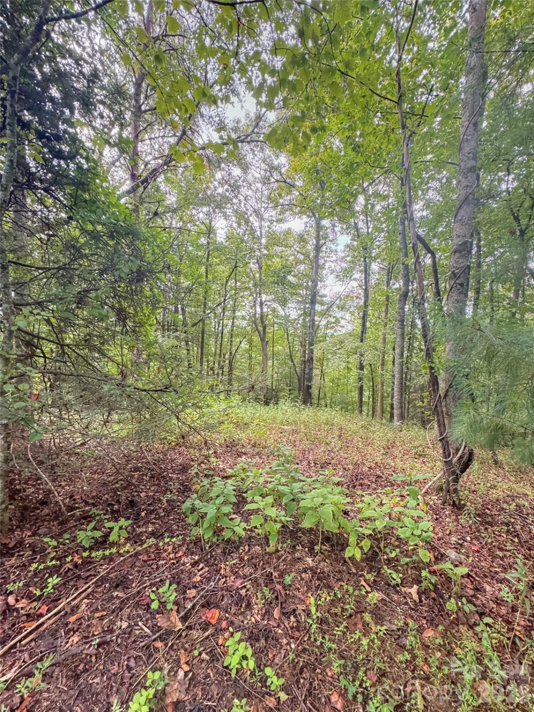 110 Stone Valley Way #20