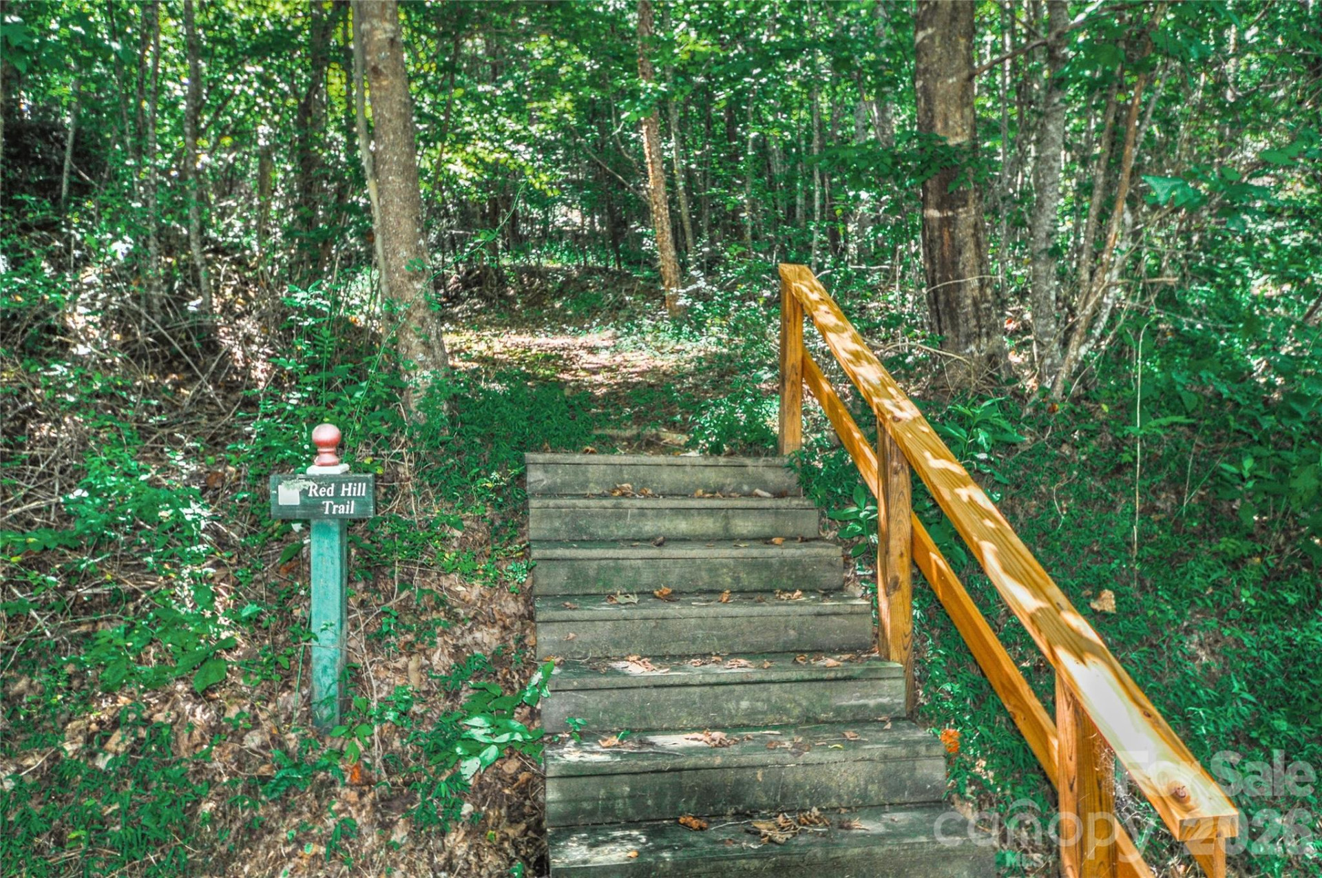 110 Stone Valley Way #20 - Photo 16