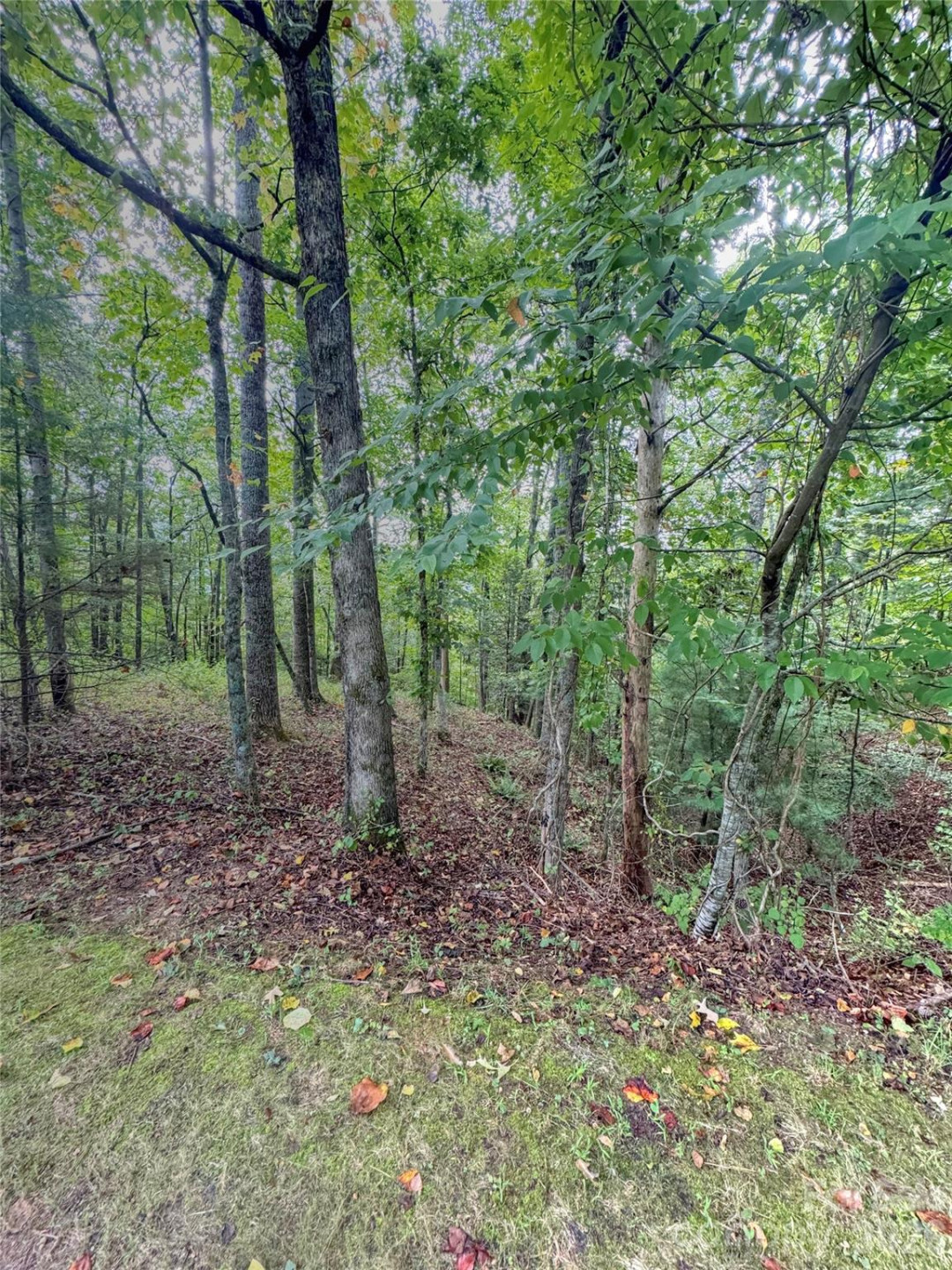 110 Stone Valley Way #20 - Photo 4