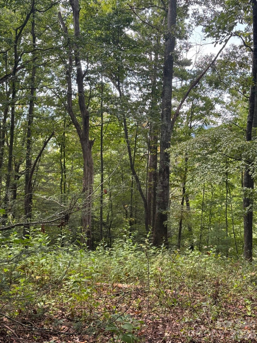 110 Stone Valley Way #20 - Photo 5