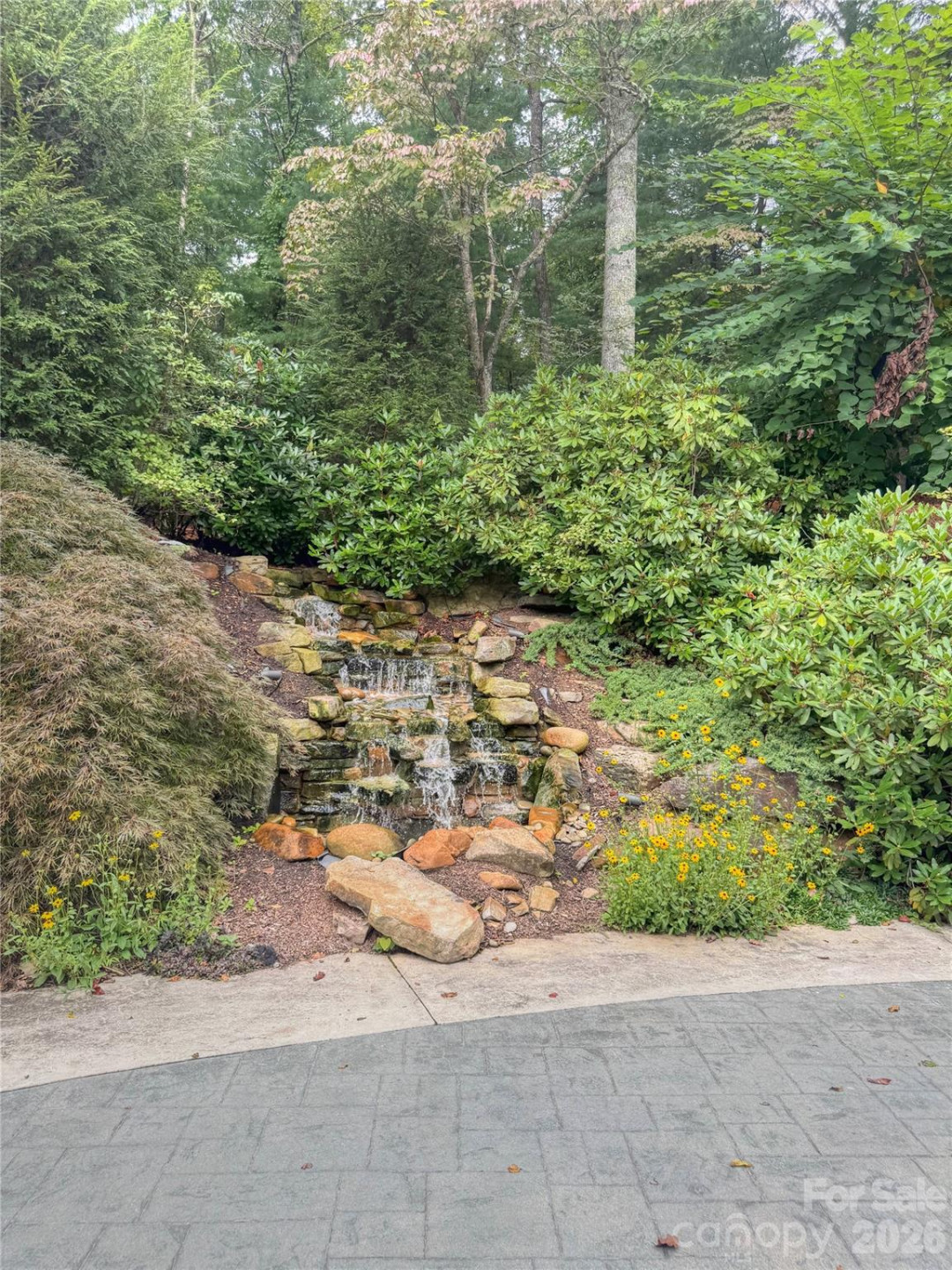 110 Stone Valley Way #20 - Photo 6