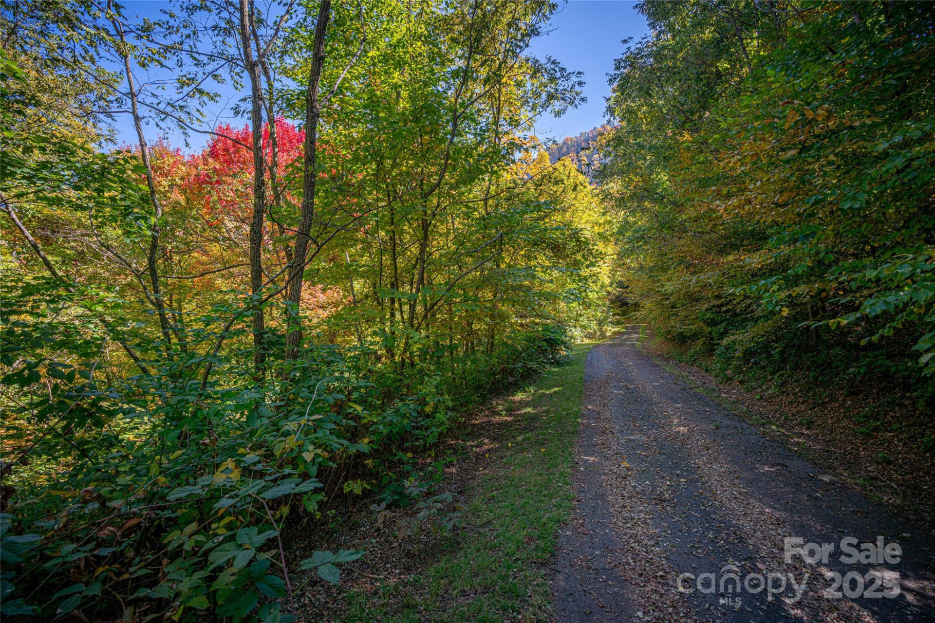 40 & 41 Falcon Crest Loop - Photo 3