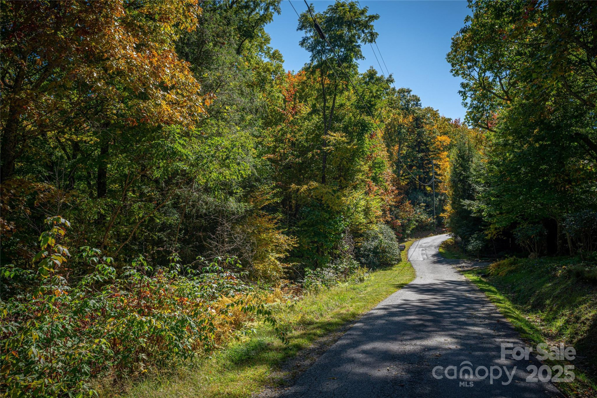 40 & 41 Falcon Crest Loop - Photo 4