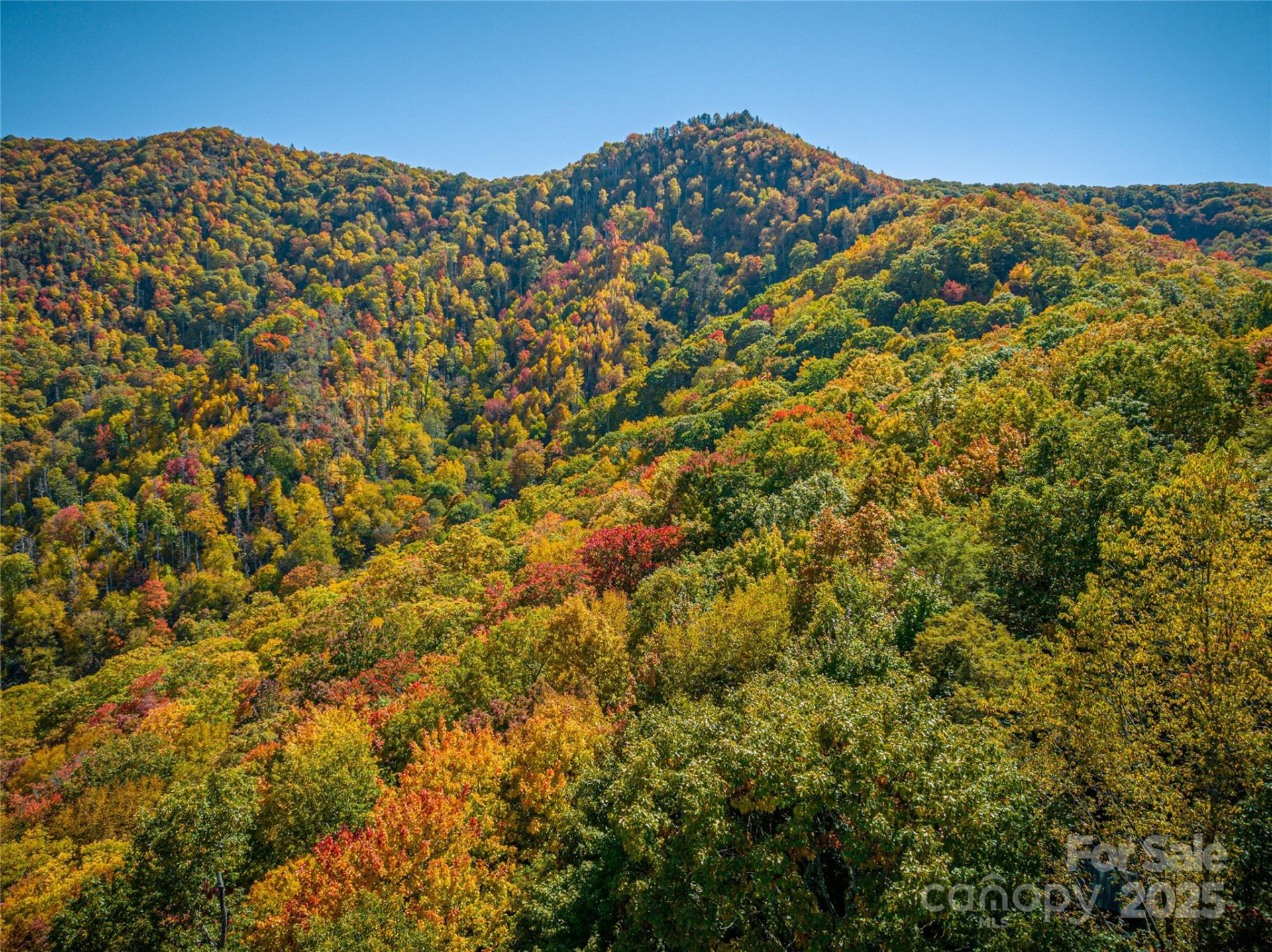 40 & 41 Falcon Crest Loop - Photo 6