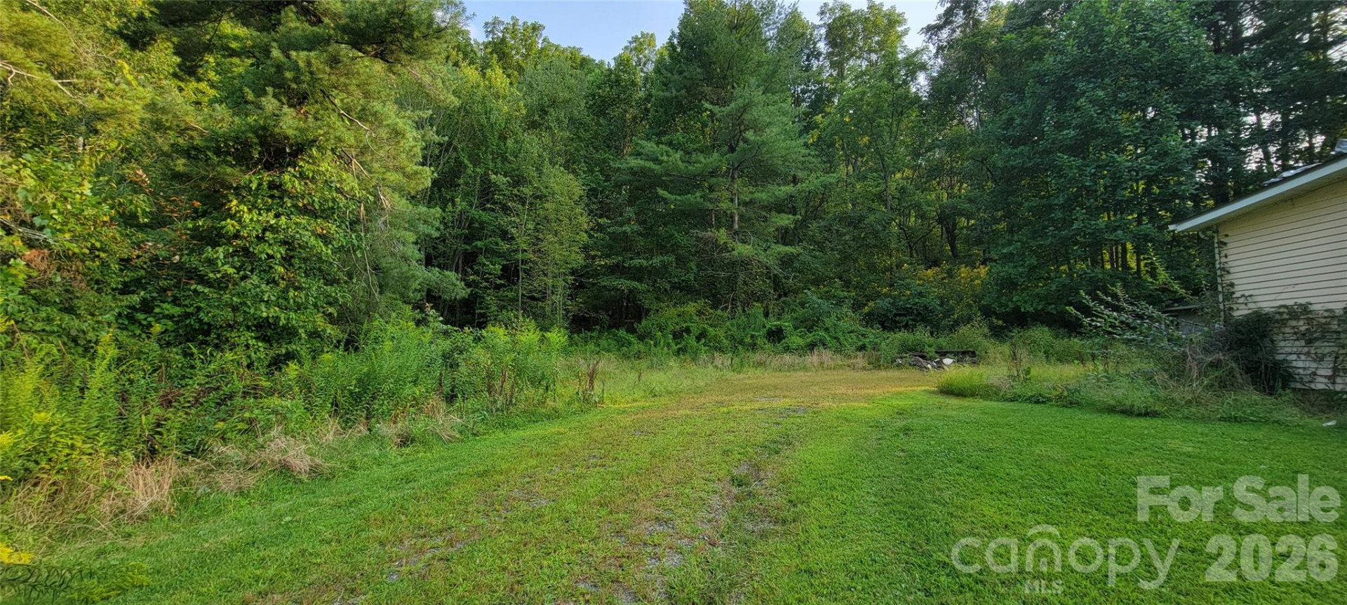 3201 Dellwood Road - Photo 5