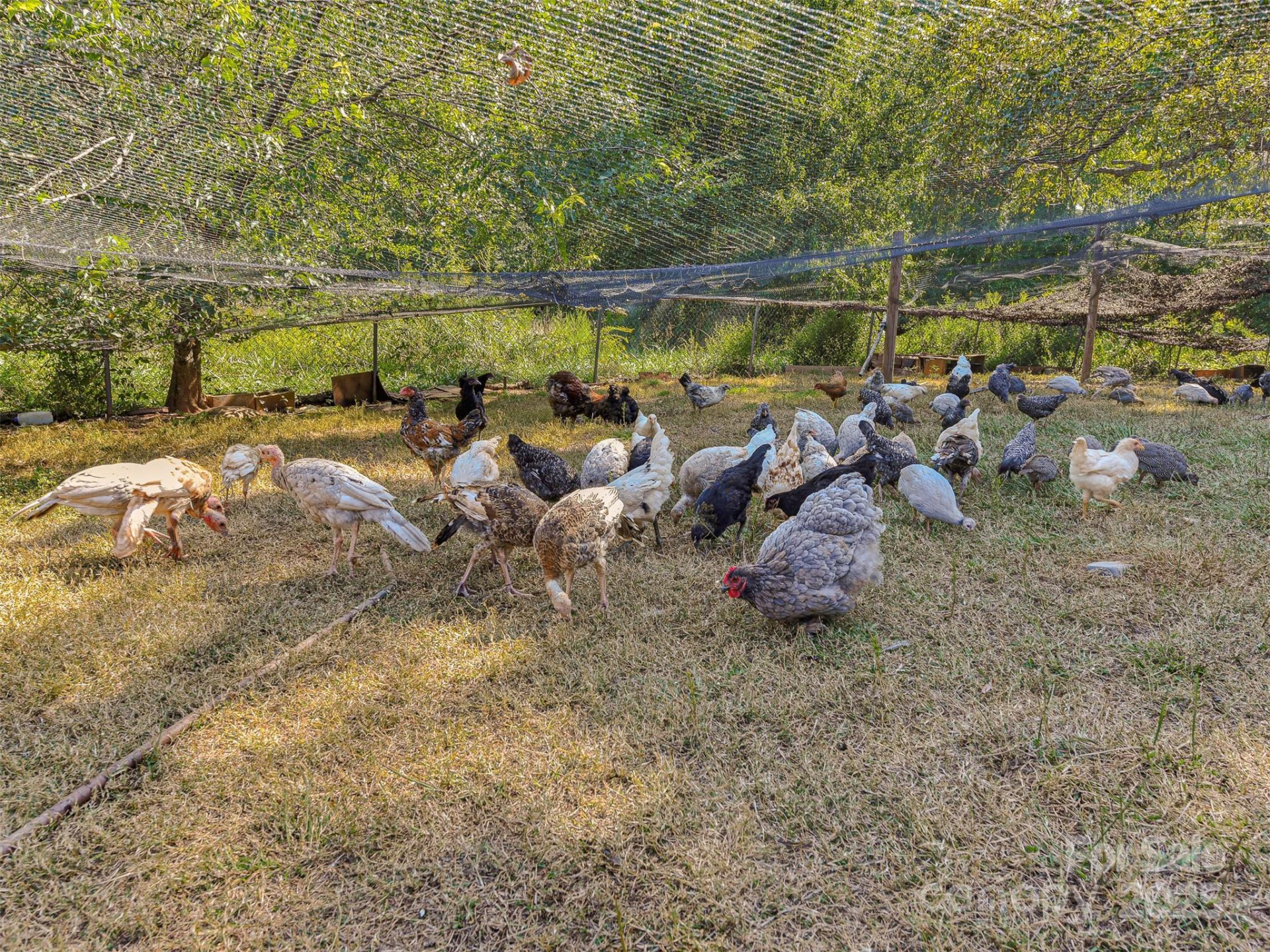 250 Circus Trail - Photo 25