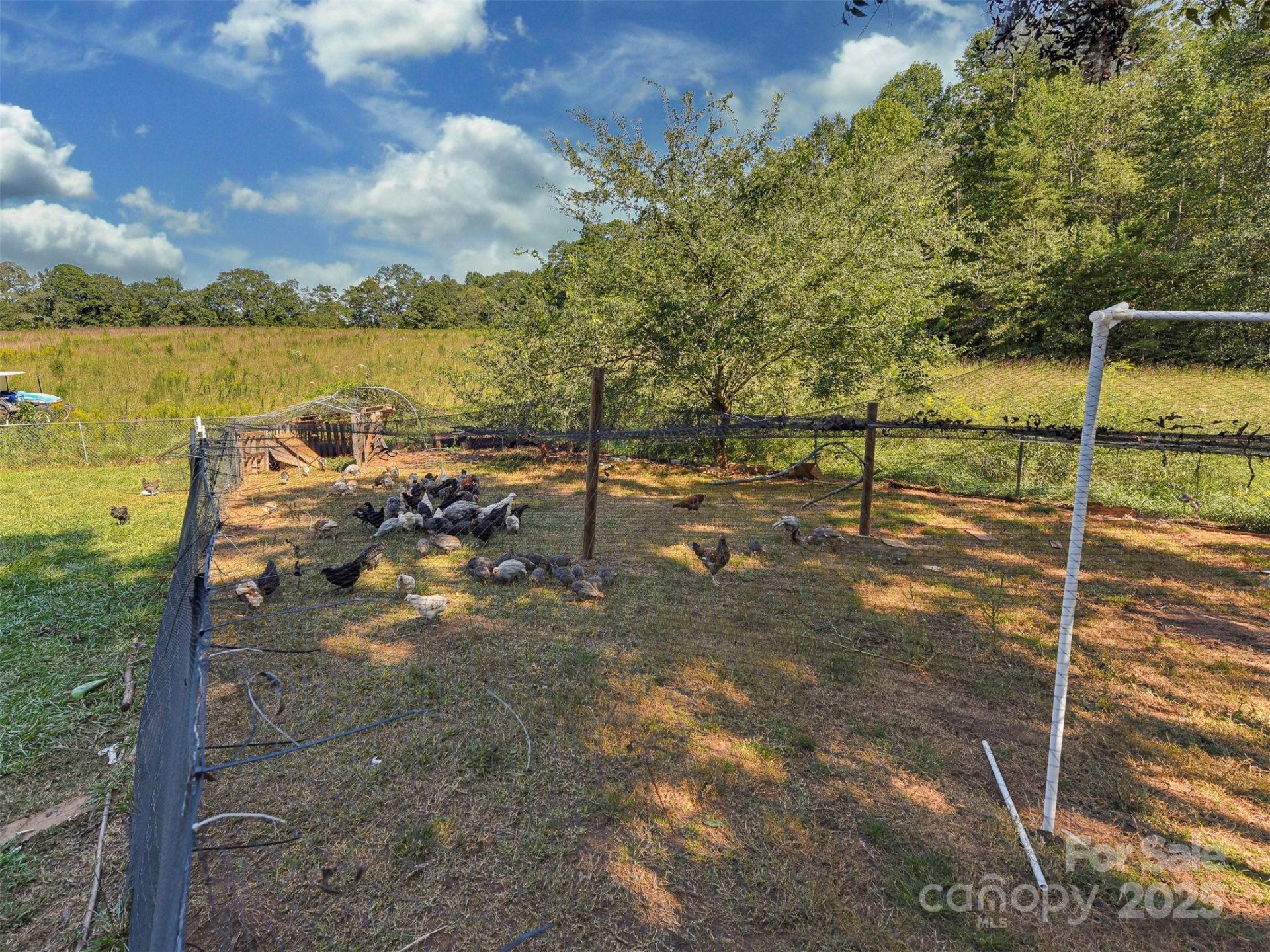 250 Circus Trail - Photo 26