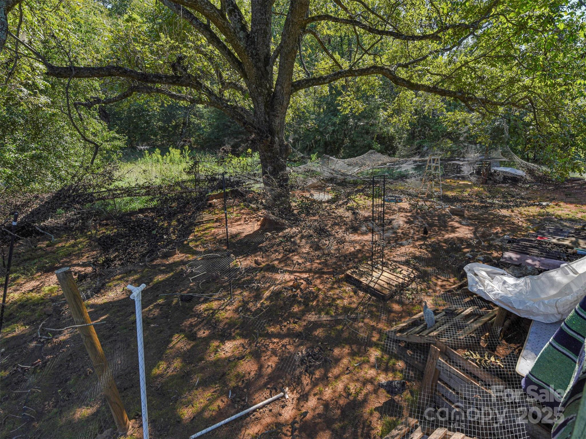 250 Circus Trail - Photo 30