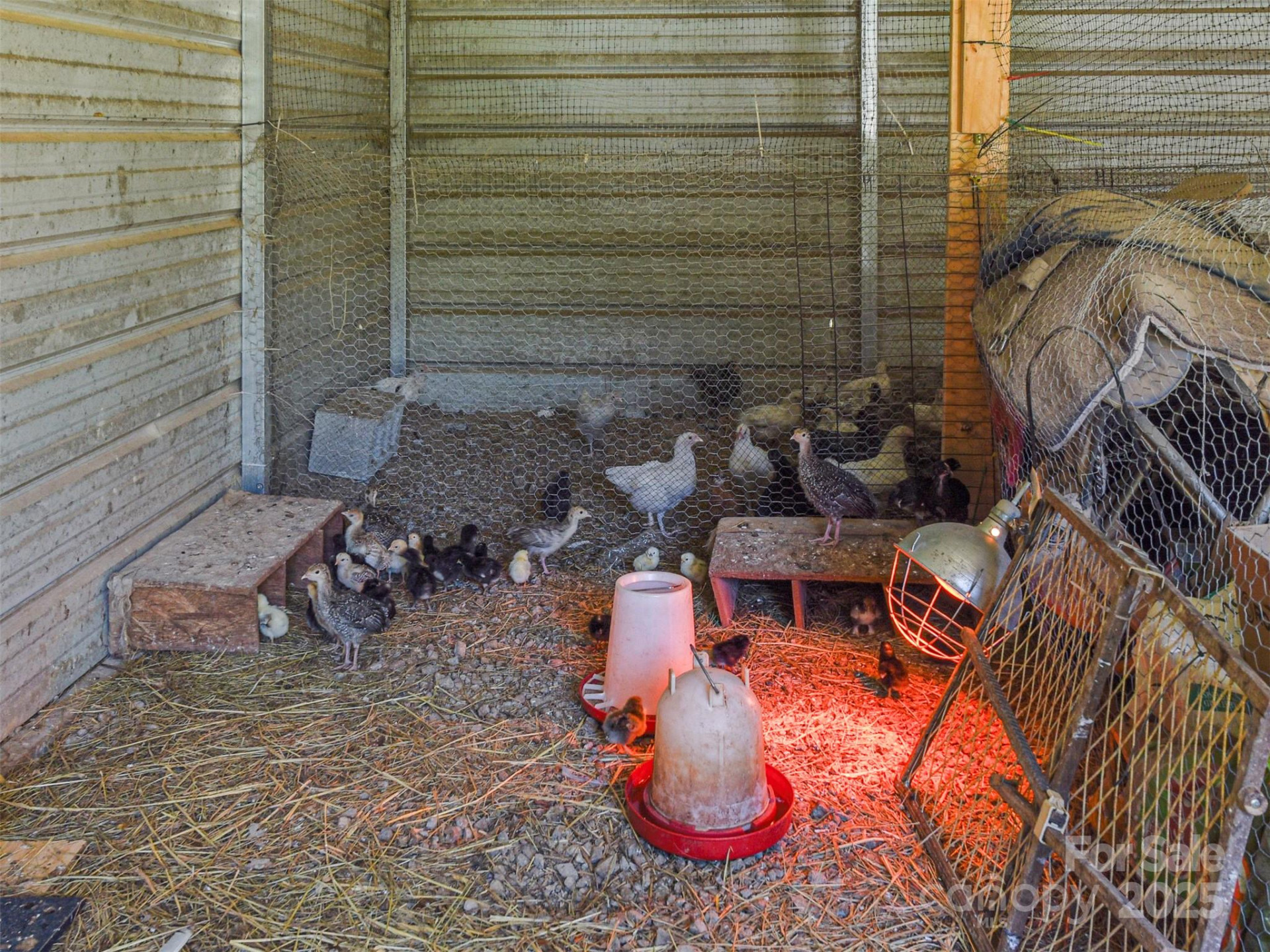 250 Circus Trail - Photo 31